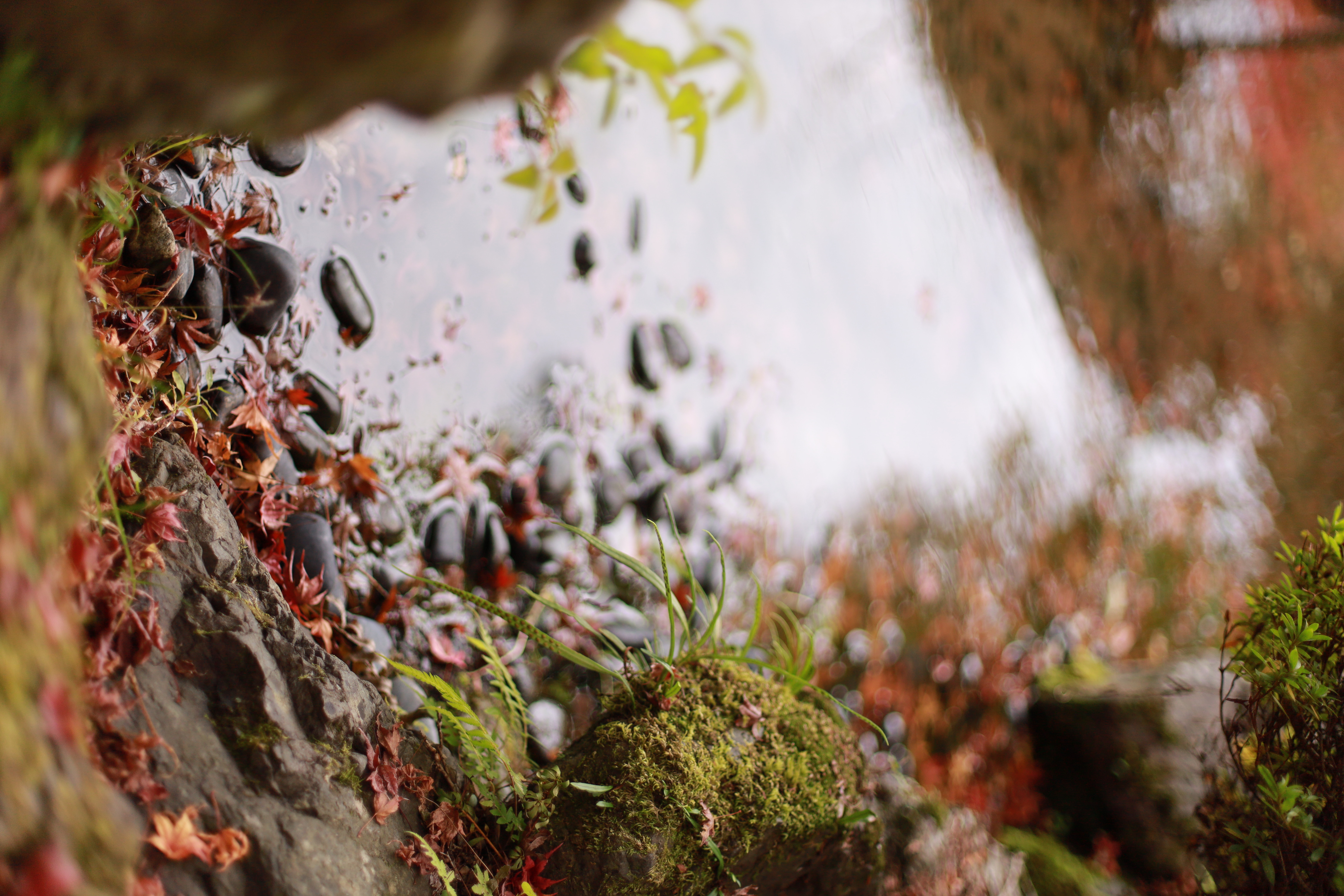 大山崎山荘美術館の画像4