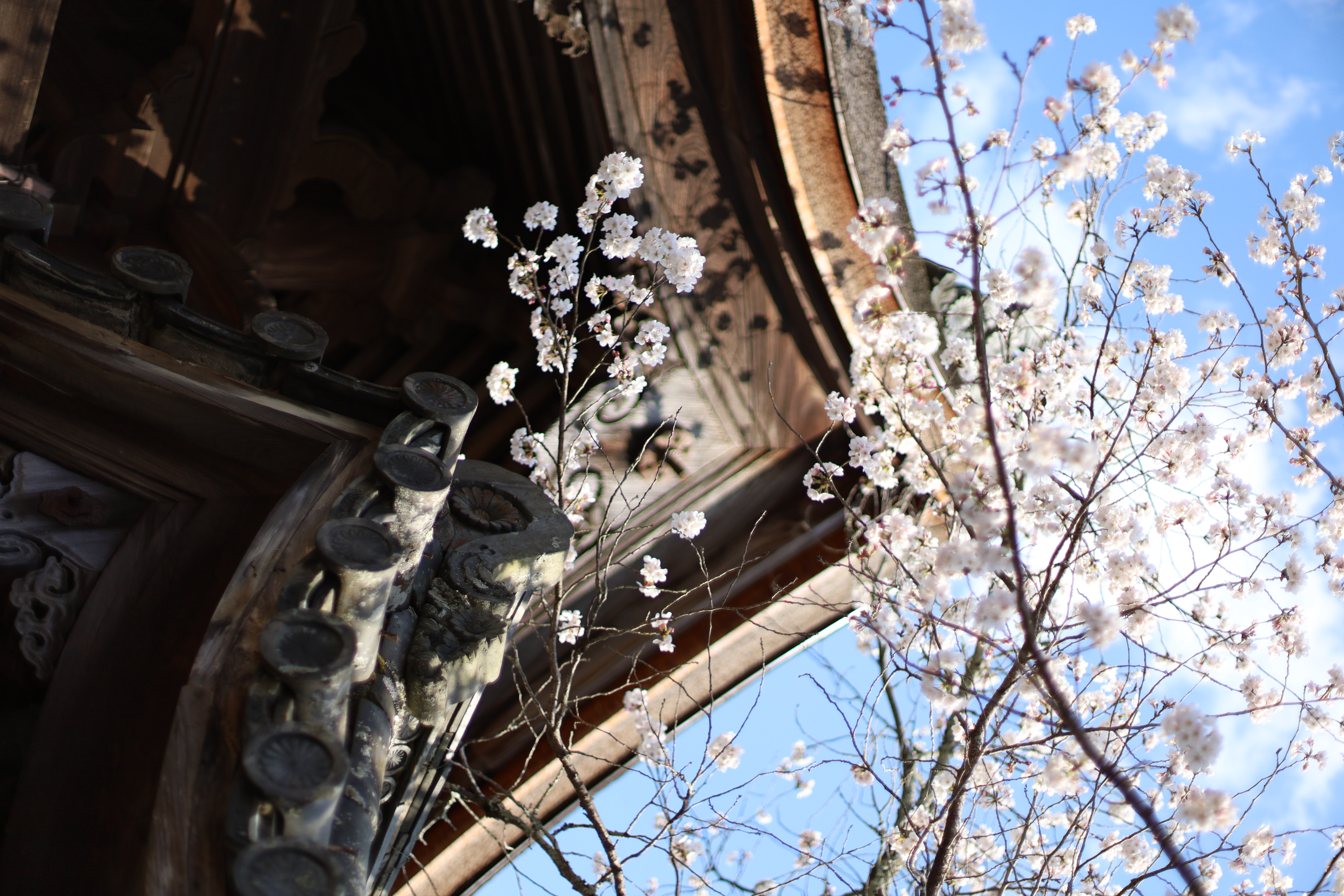 毘沙門堂門跡の画像1