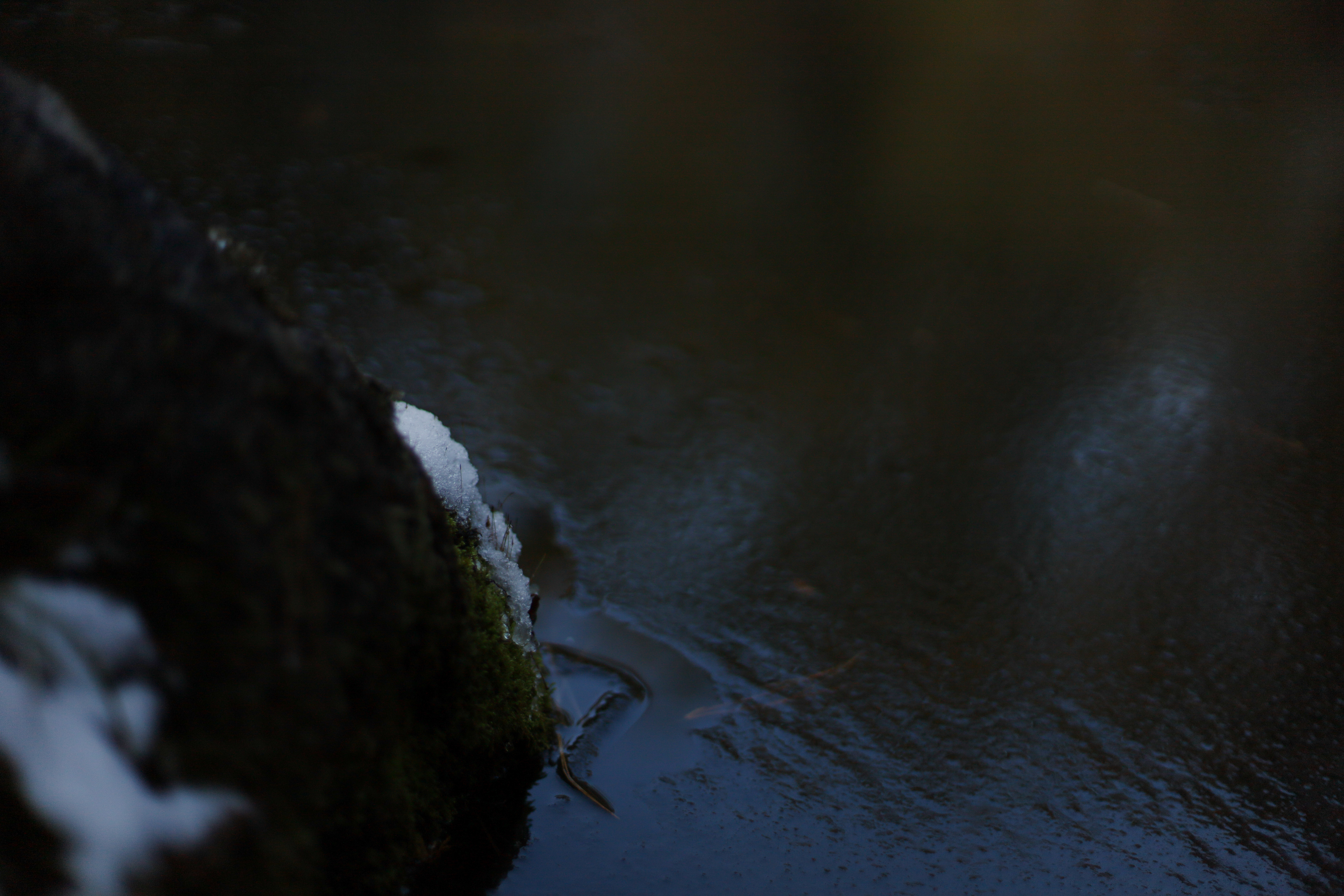 平安神宮の画像6