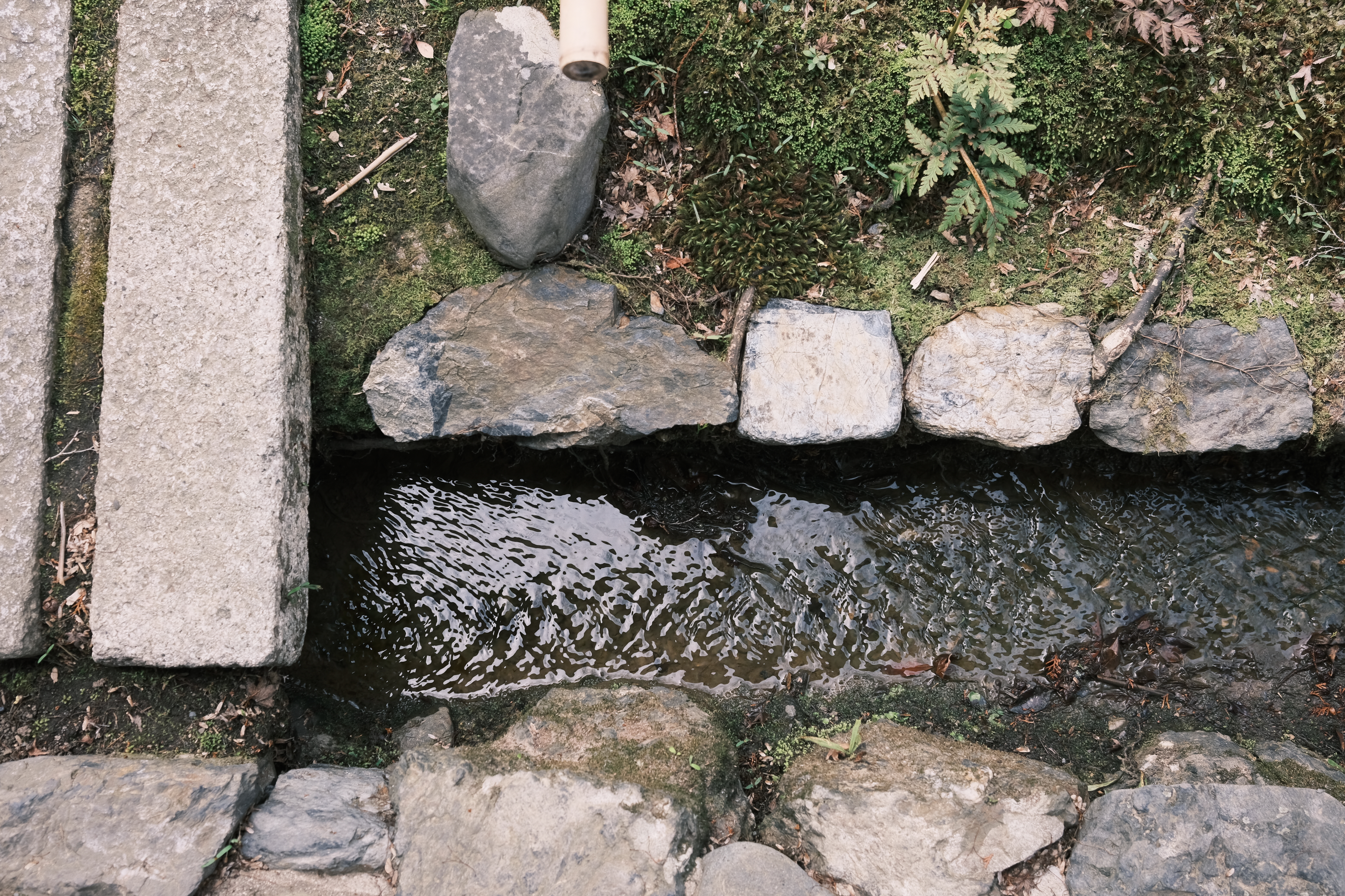 FUJIFILM X100Fと常寂光寺近辺を歩くの画像3