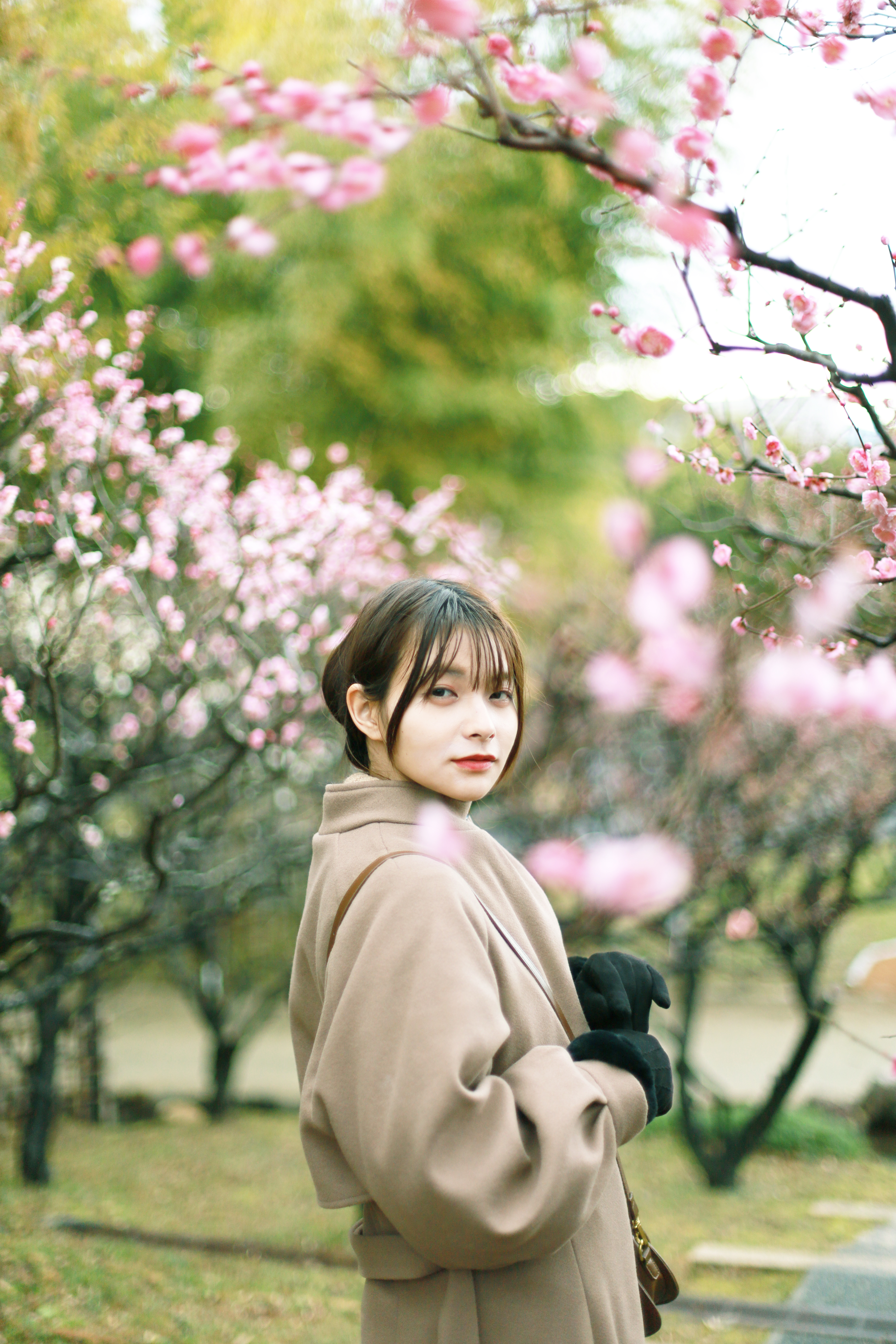 万博記念公園の画像1