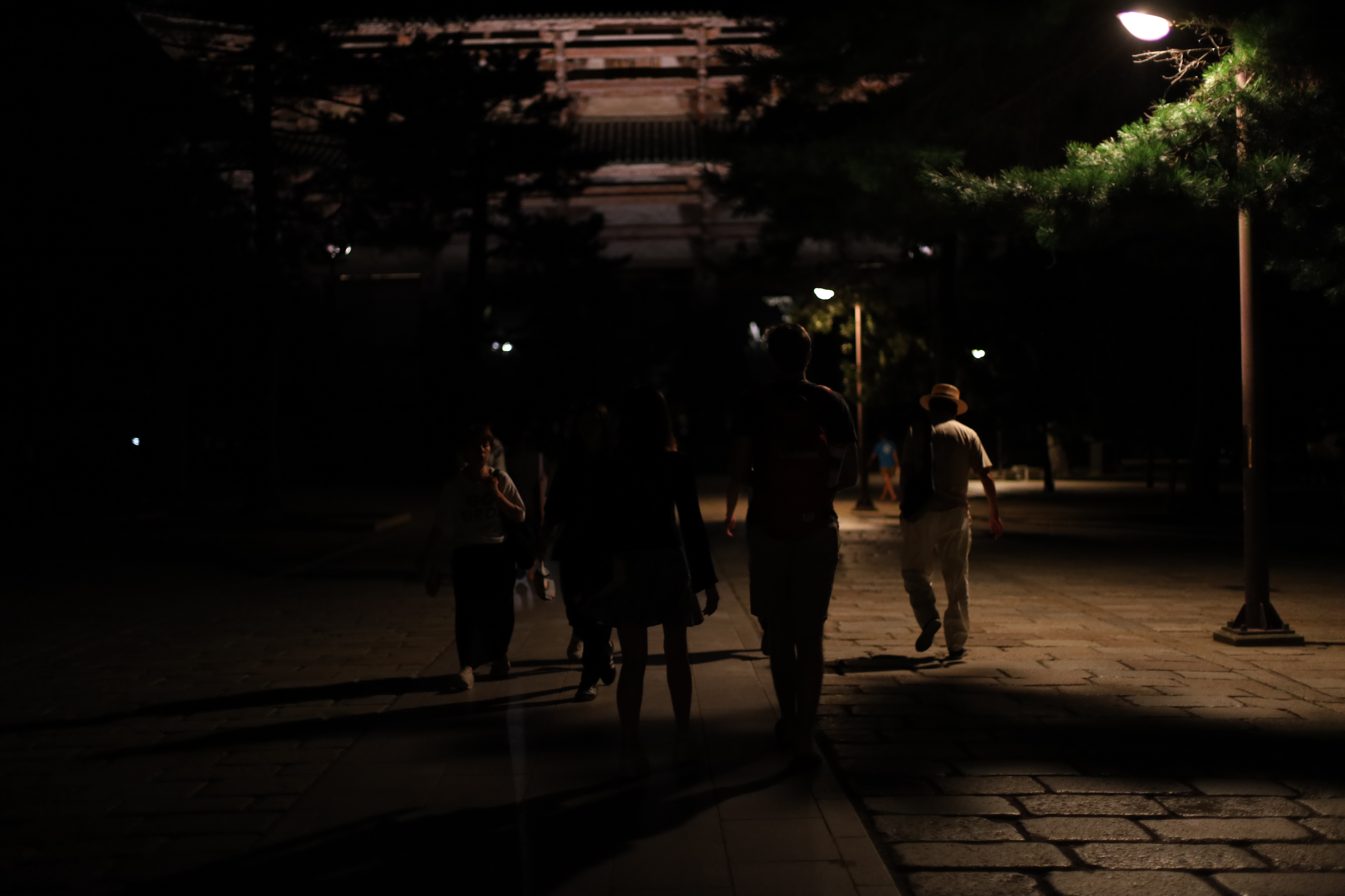 なら燈花会の画像5