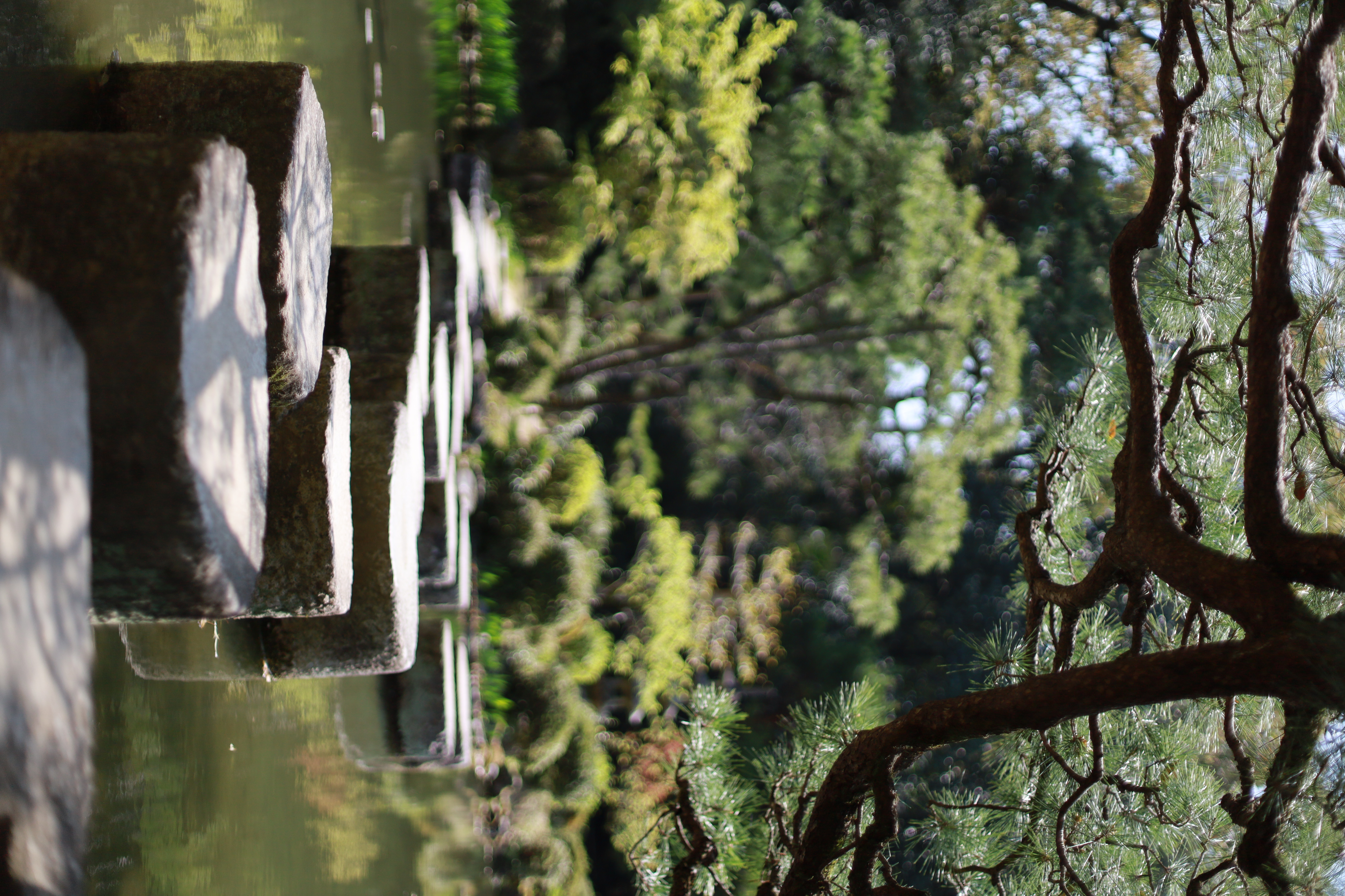 平安神宮の画像4