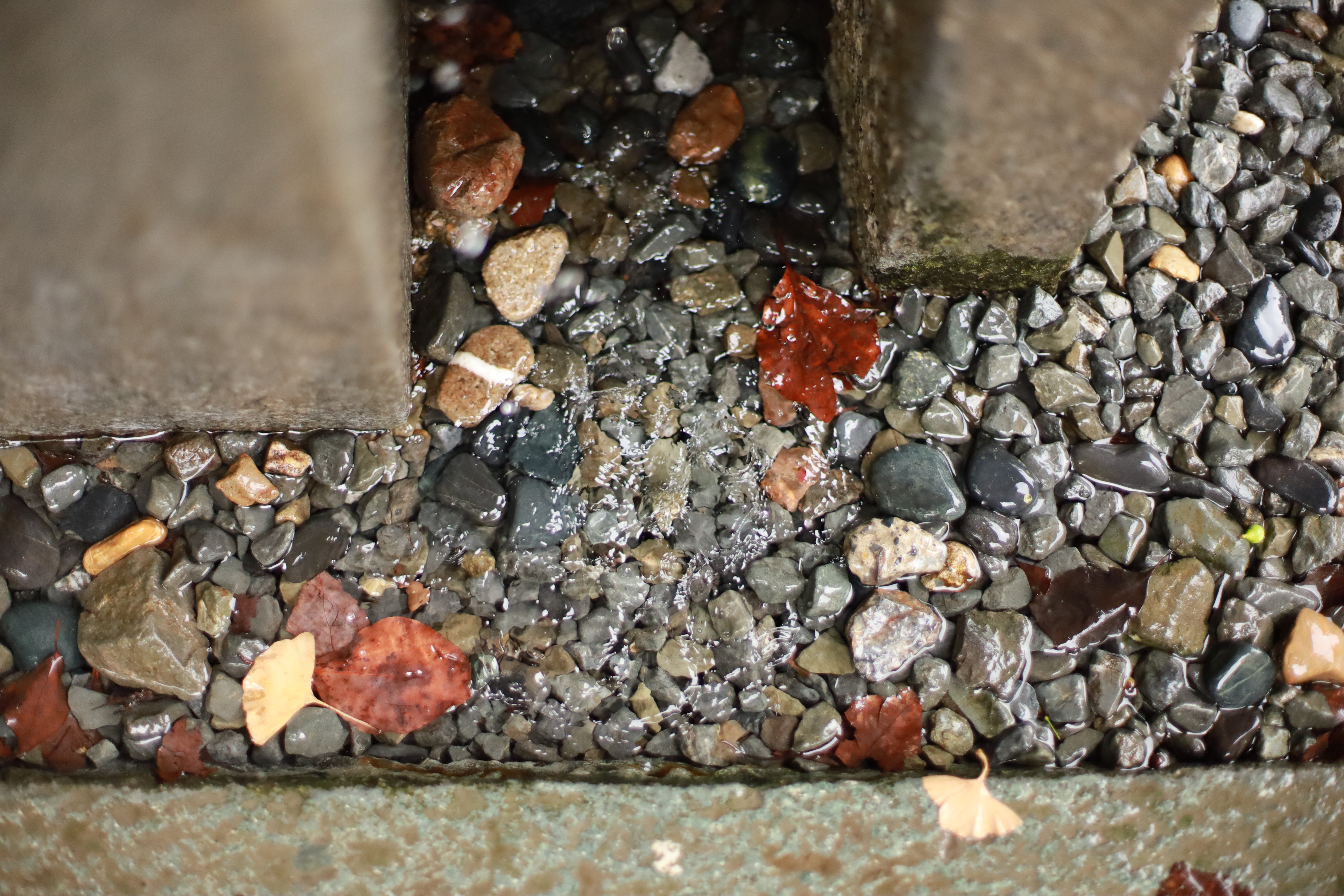 水無瀬神宮の画像4