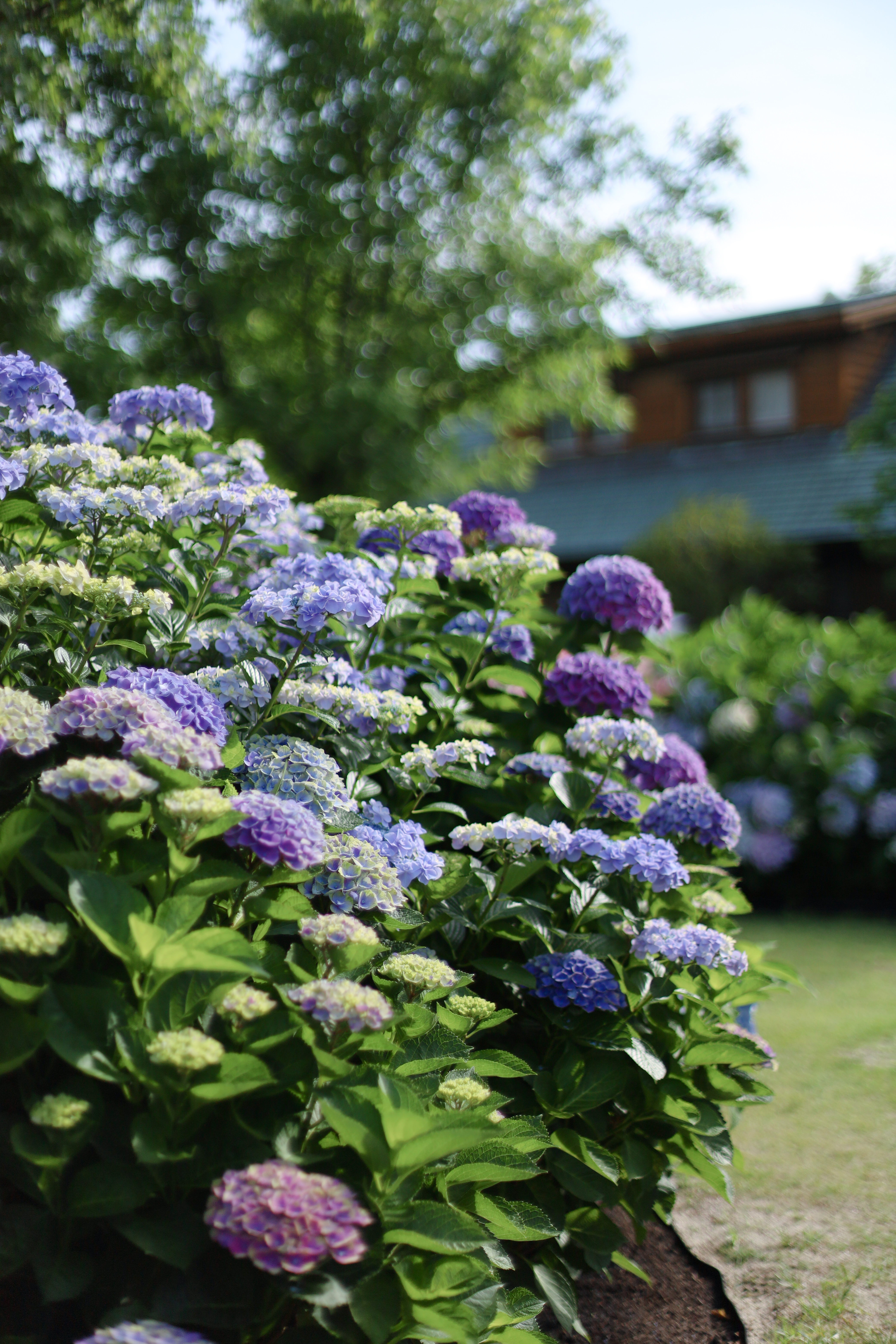 The Day Osakaの画像3