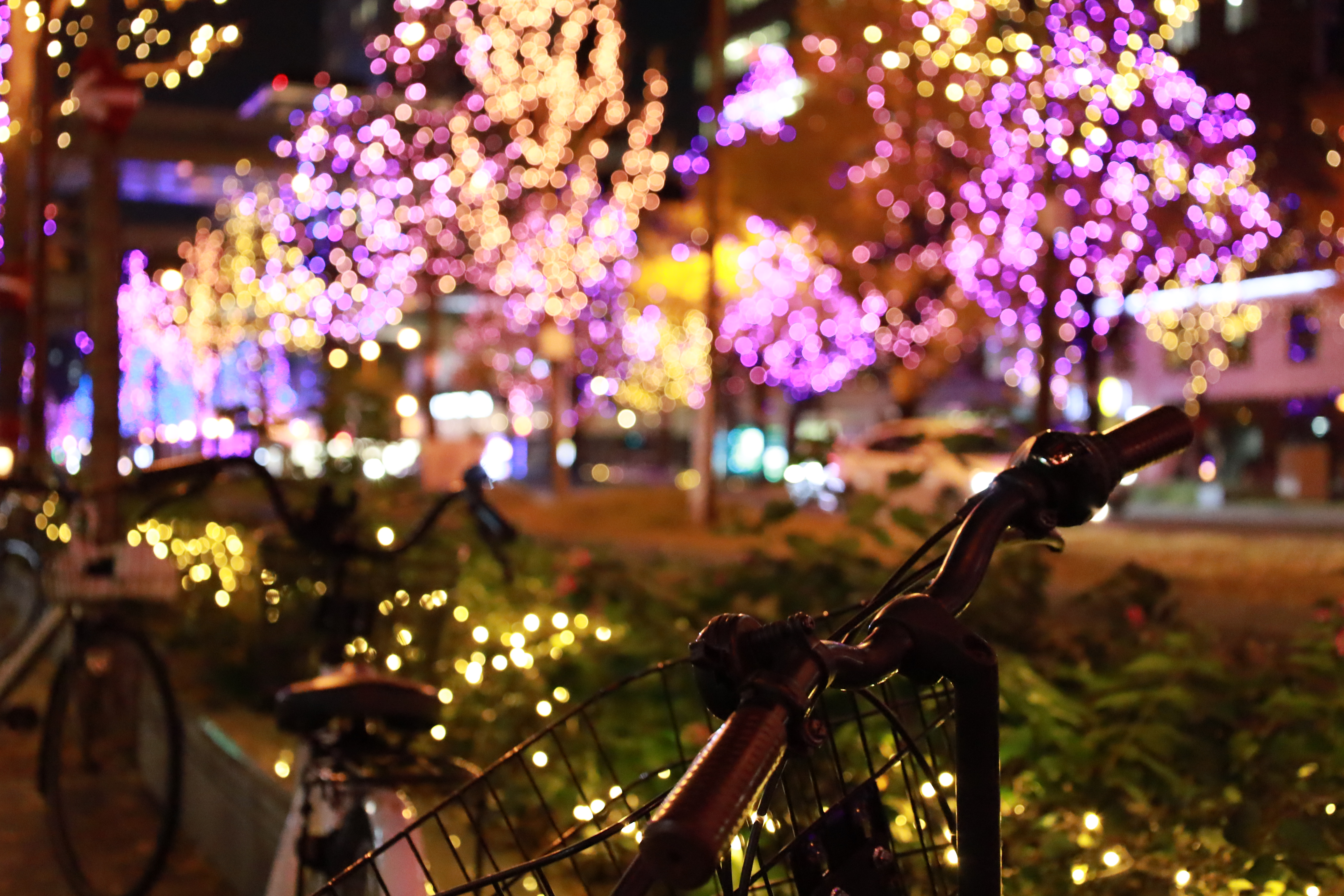 光の饗宴の画像6