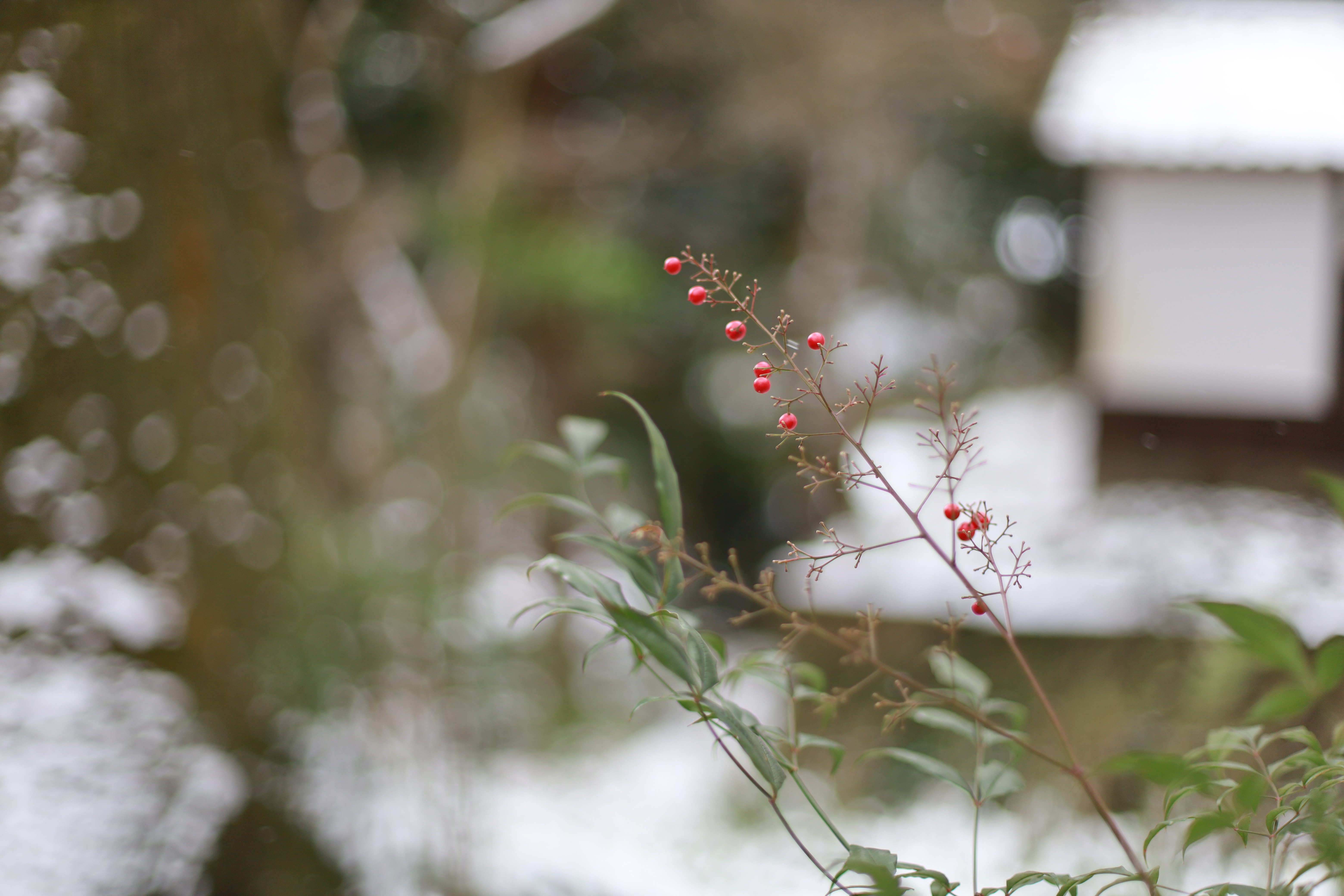 椎尾神社の画像3