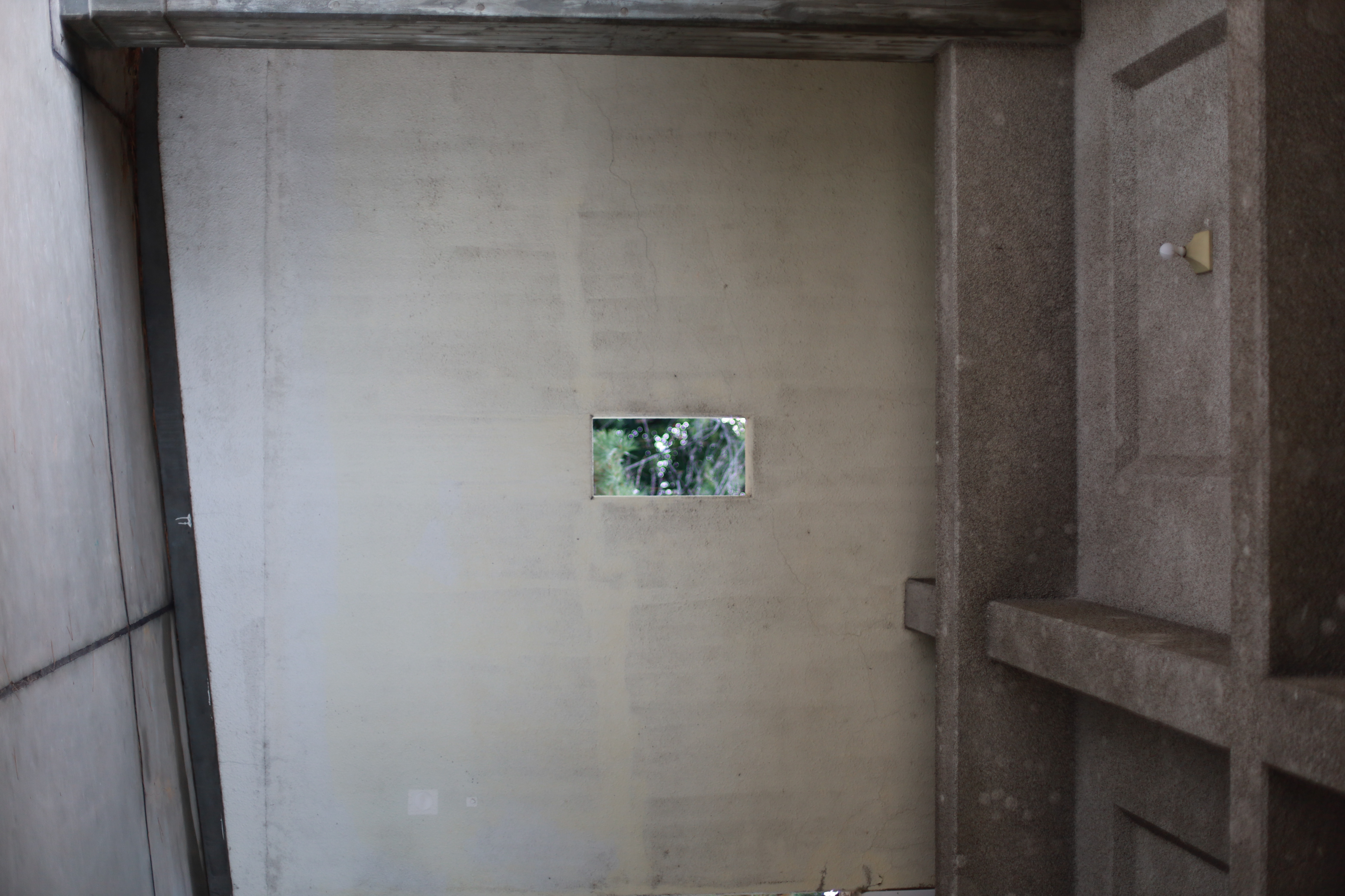 万博記念公園の画像3