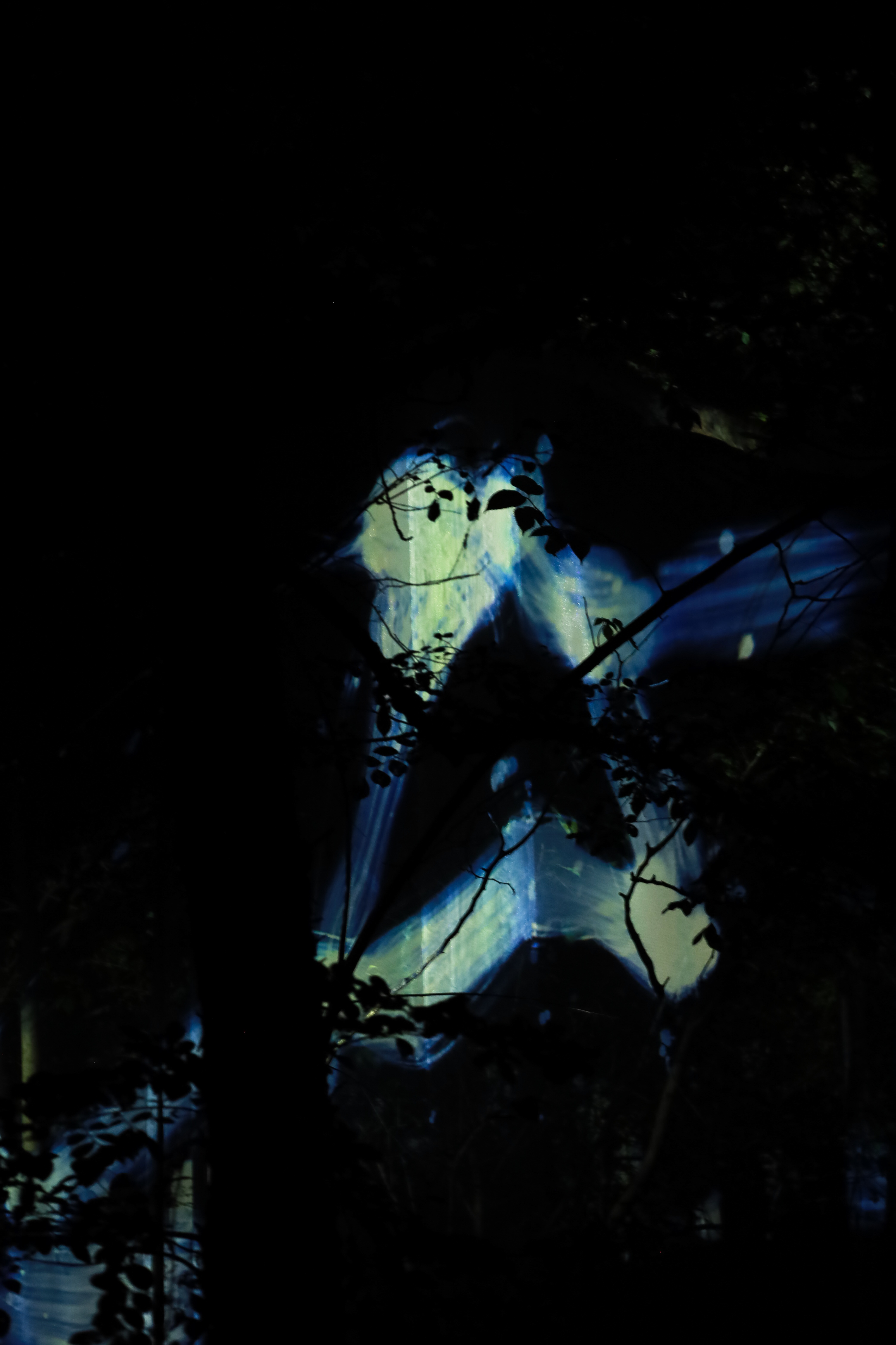 長居植物園の画像6