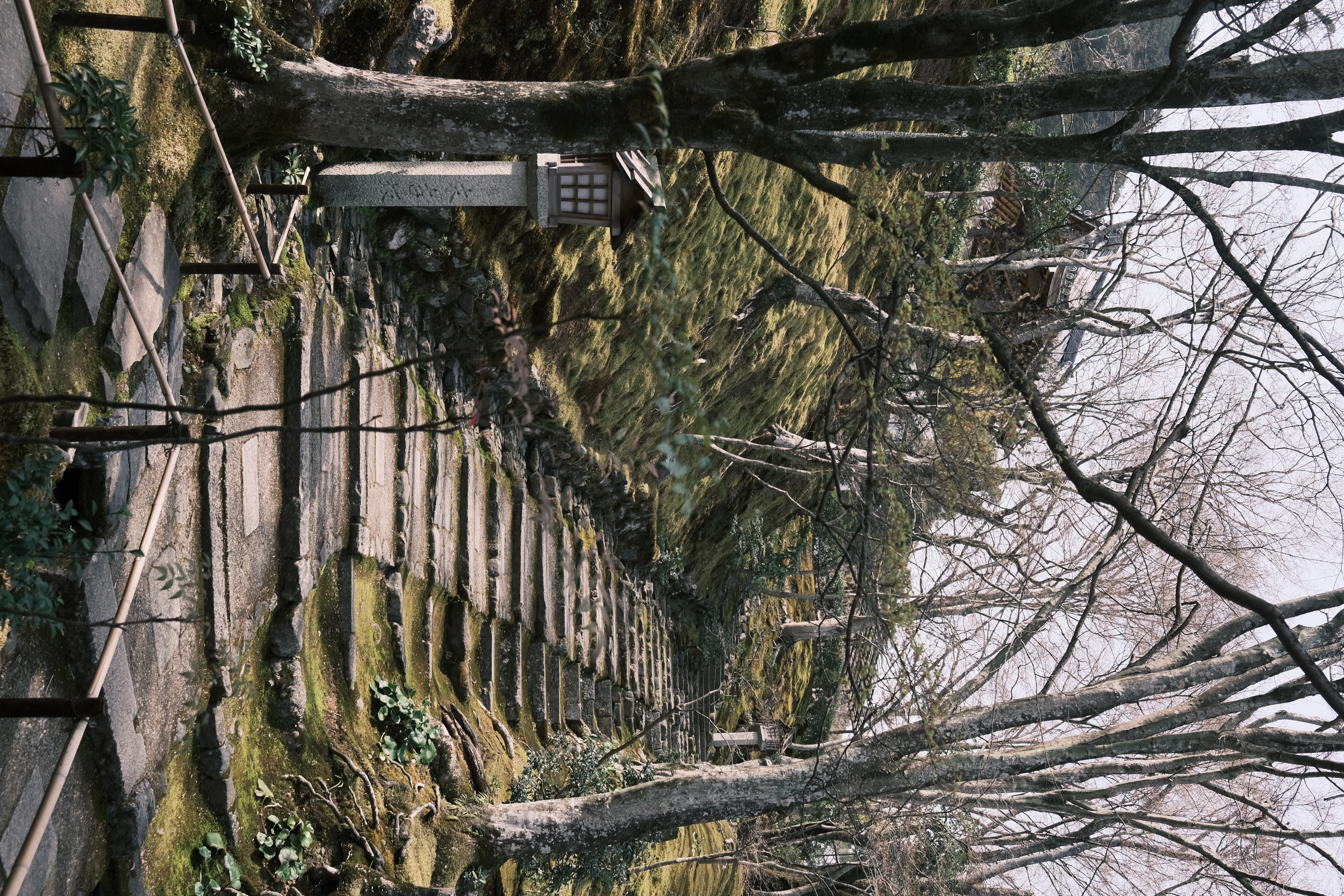 FUJIFILM X100Fと常寂光寺近辺を歩くの画像6