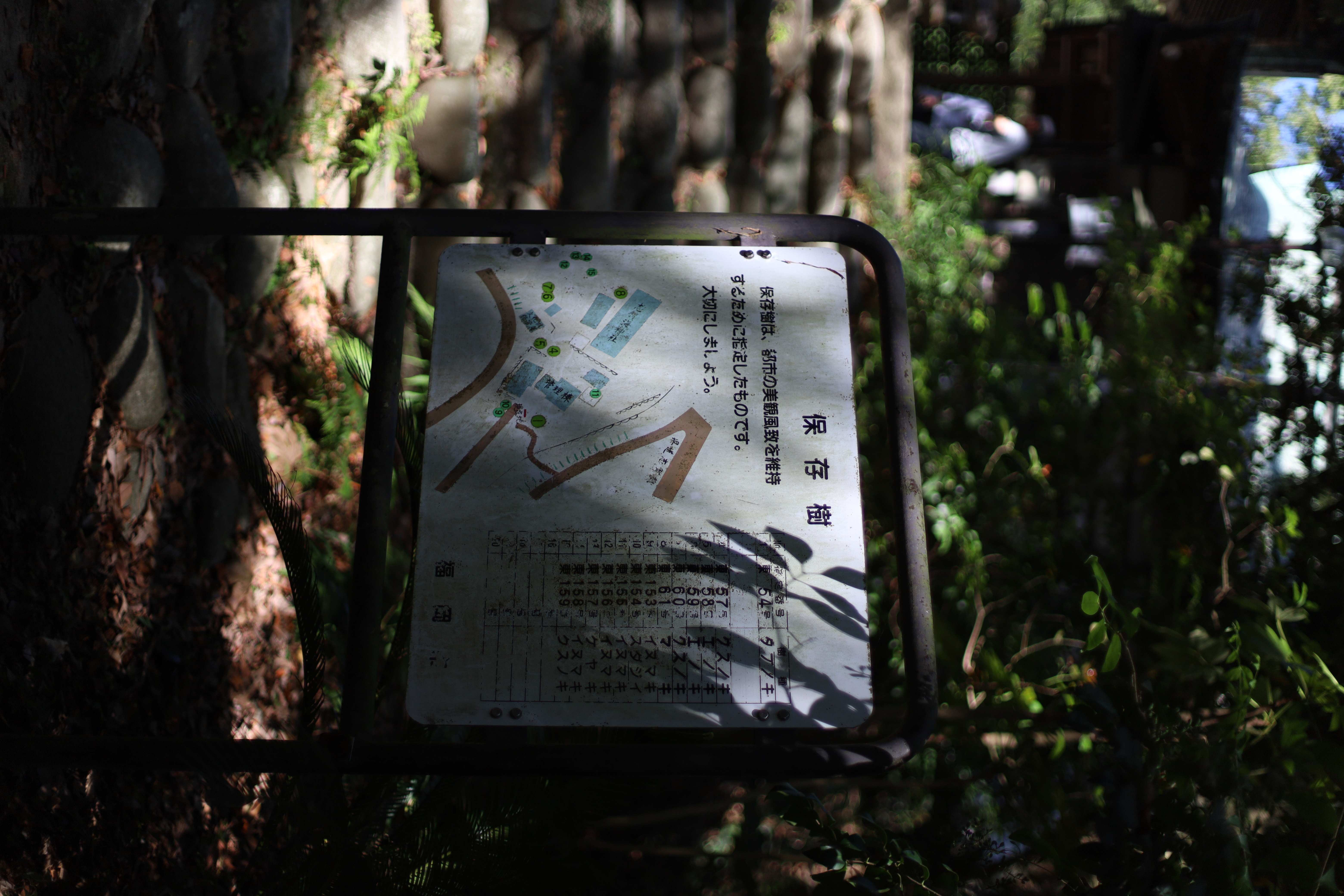 志賀海神社の画像4