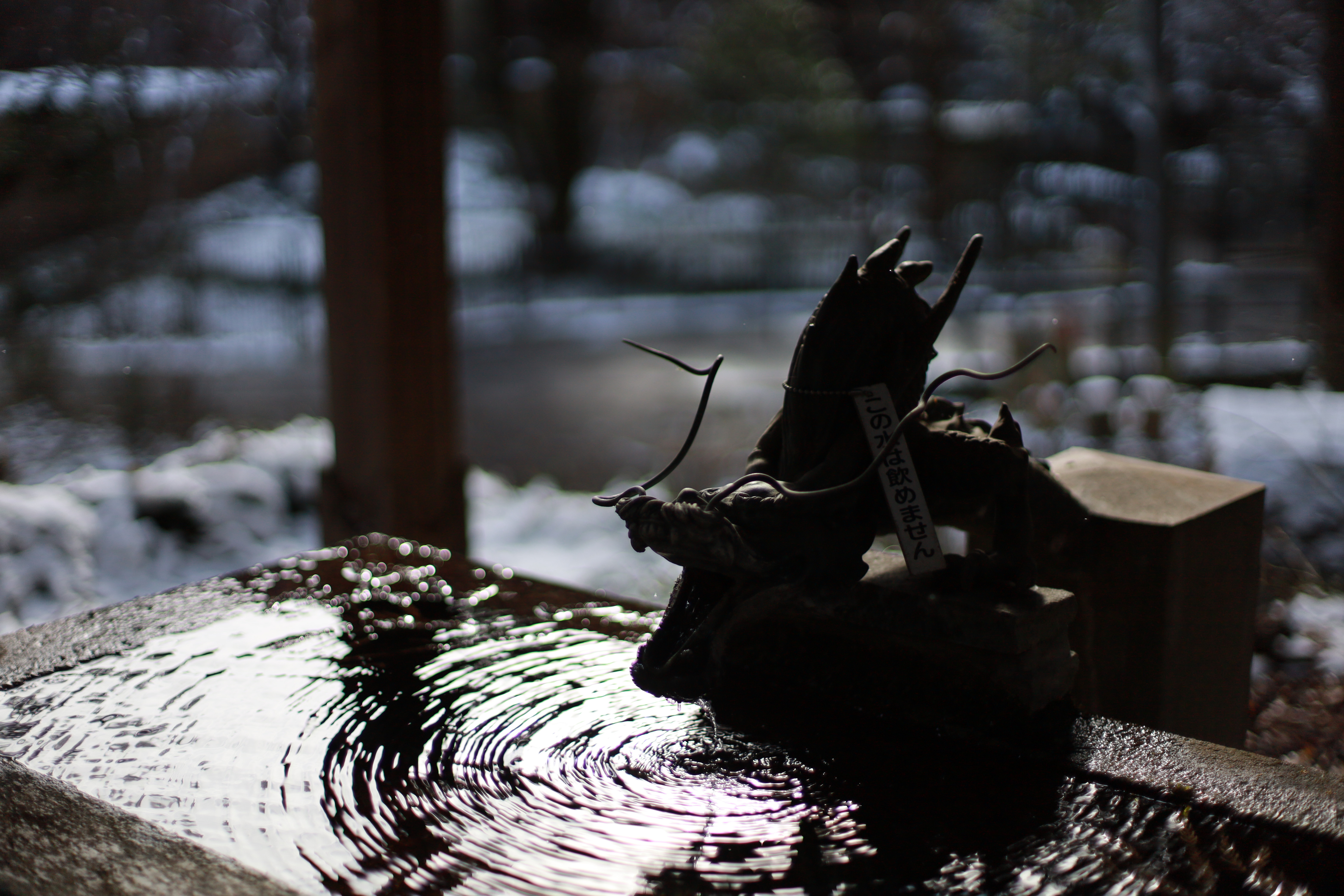 椎尾神社の画像7