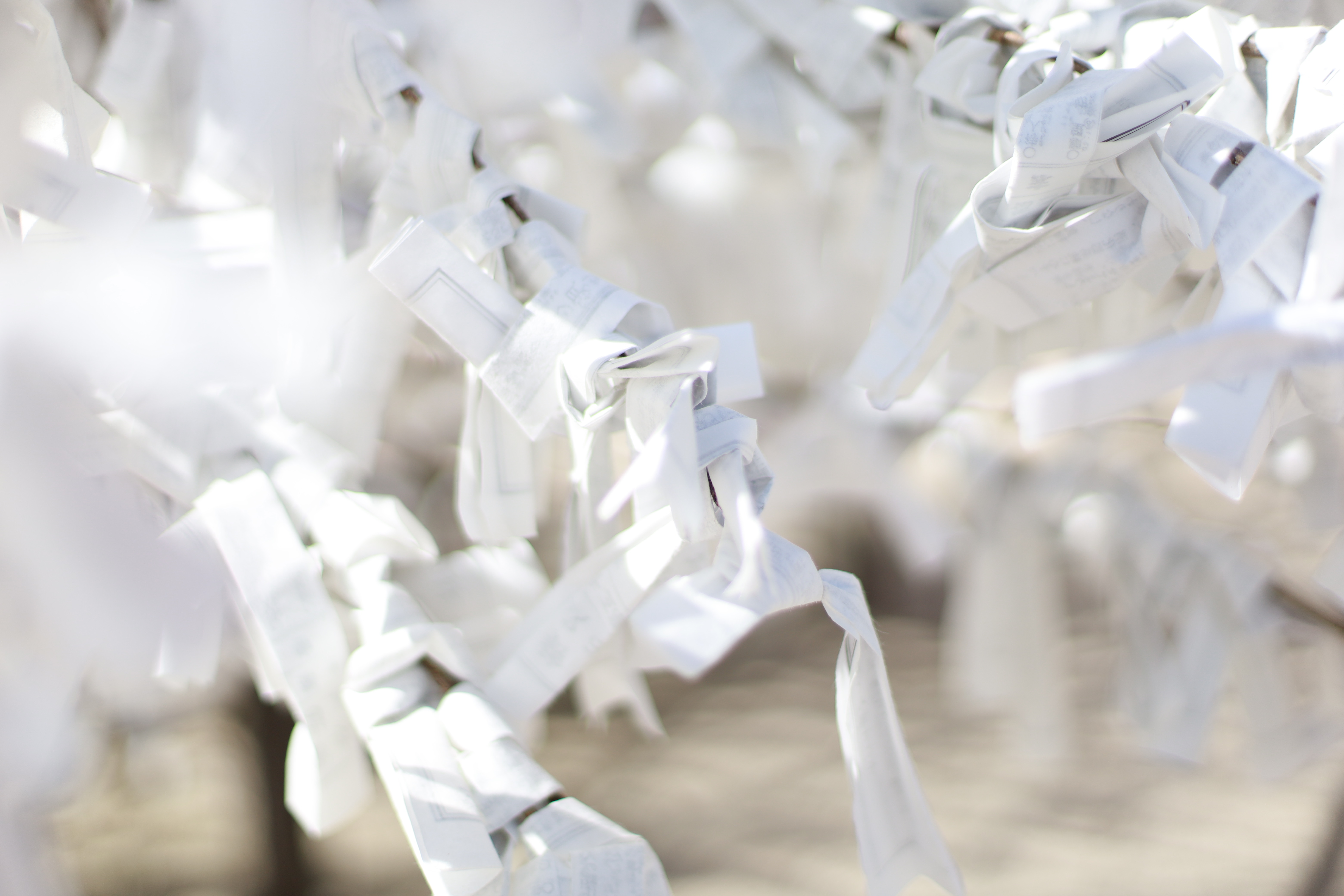 平安神宮の画像1