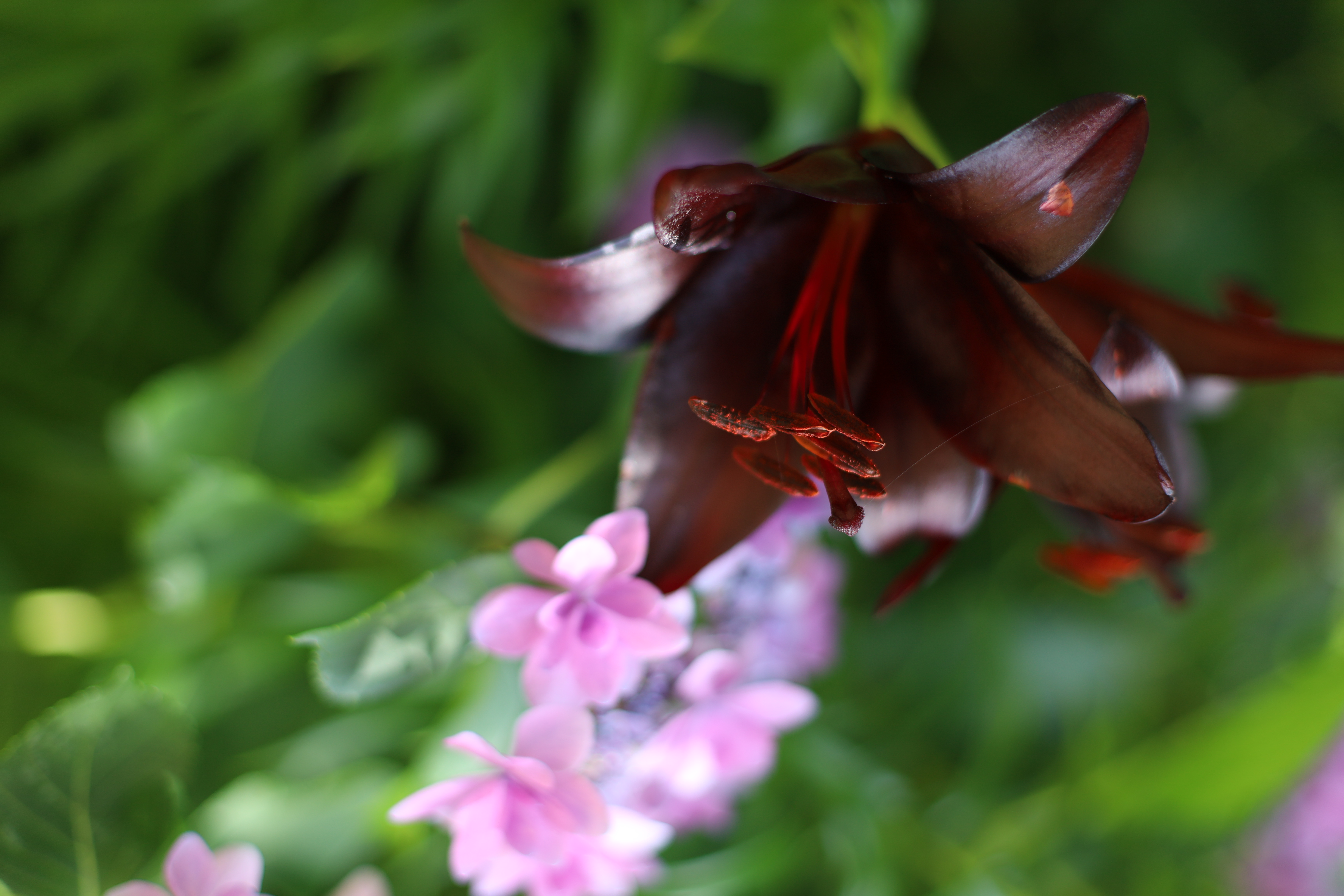 The Day Osakaの画像3