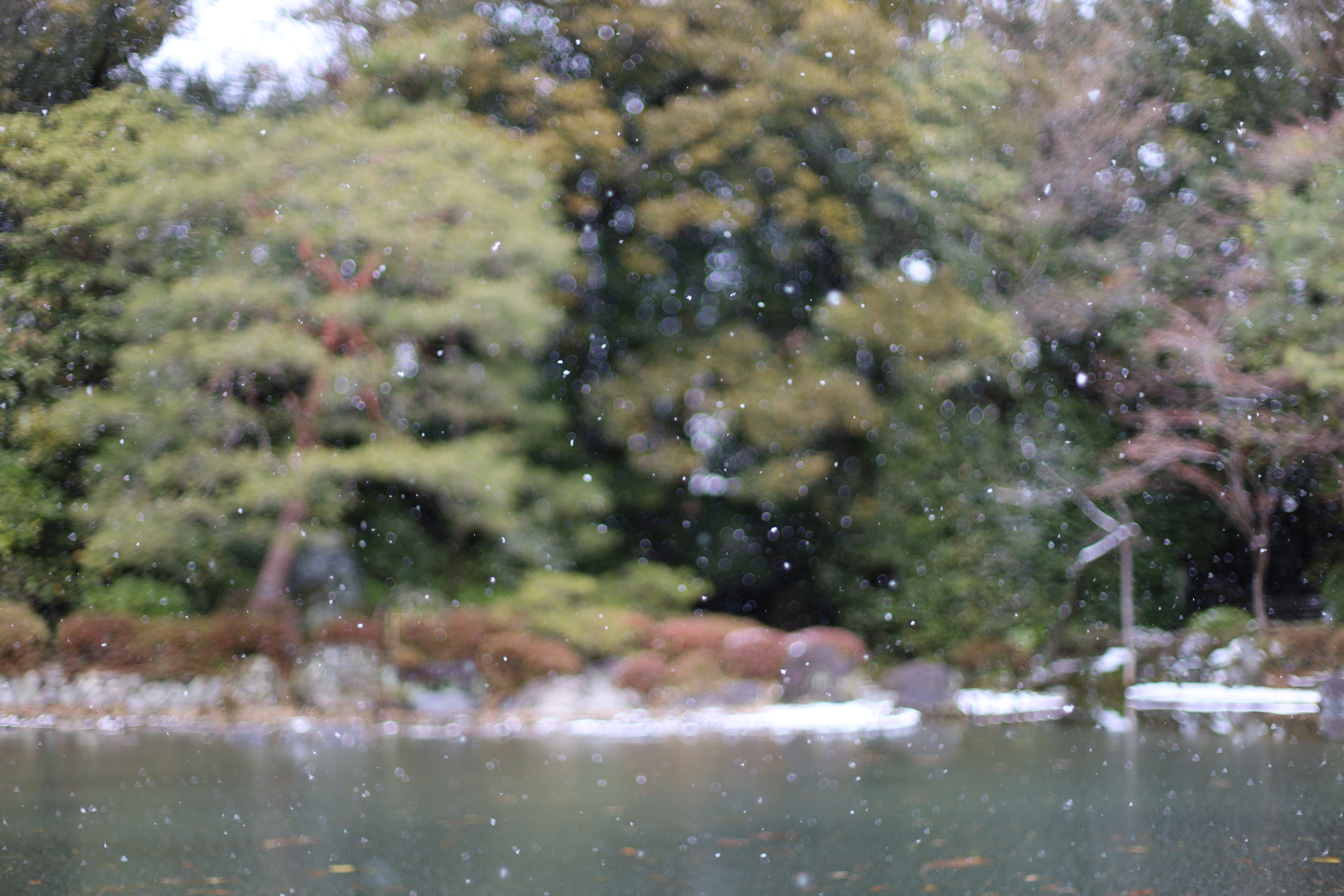 平安神宮の画像2