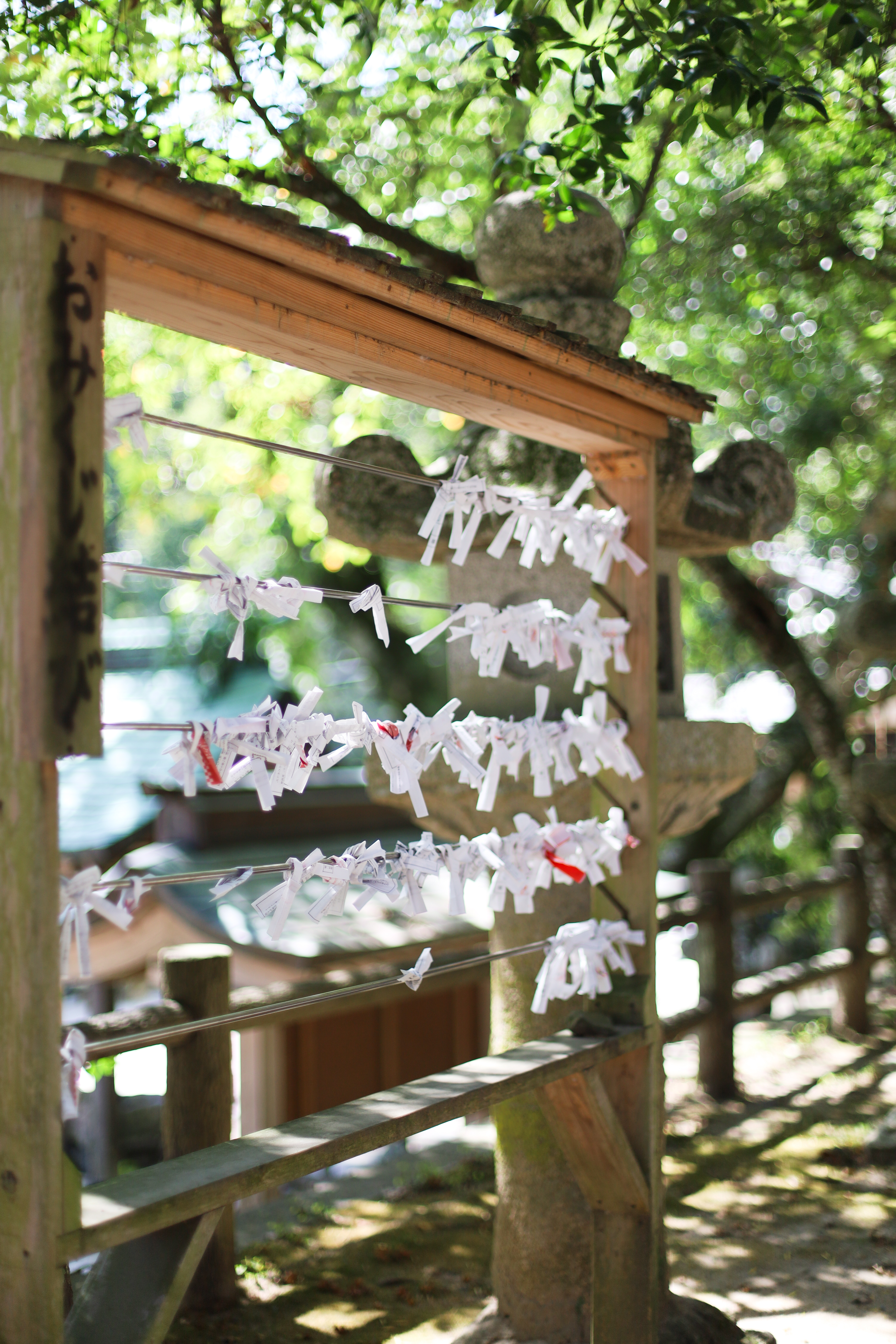 志賀海神社の画像2