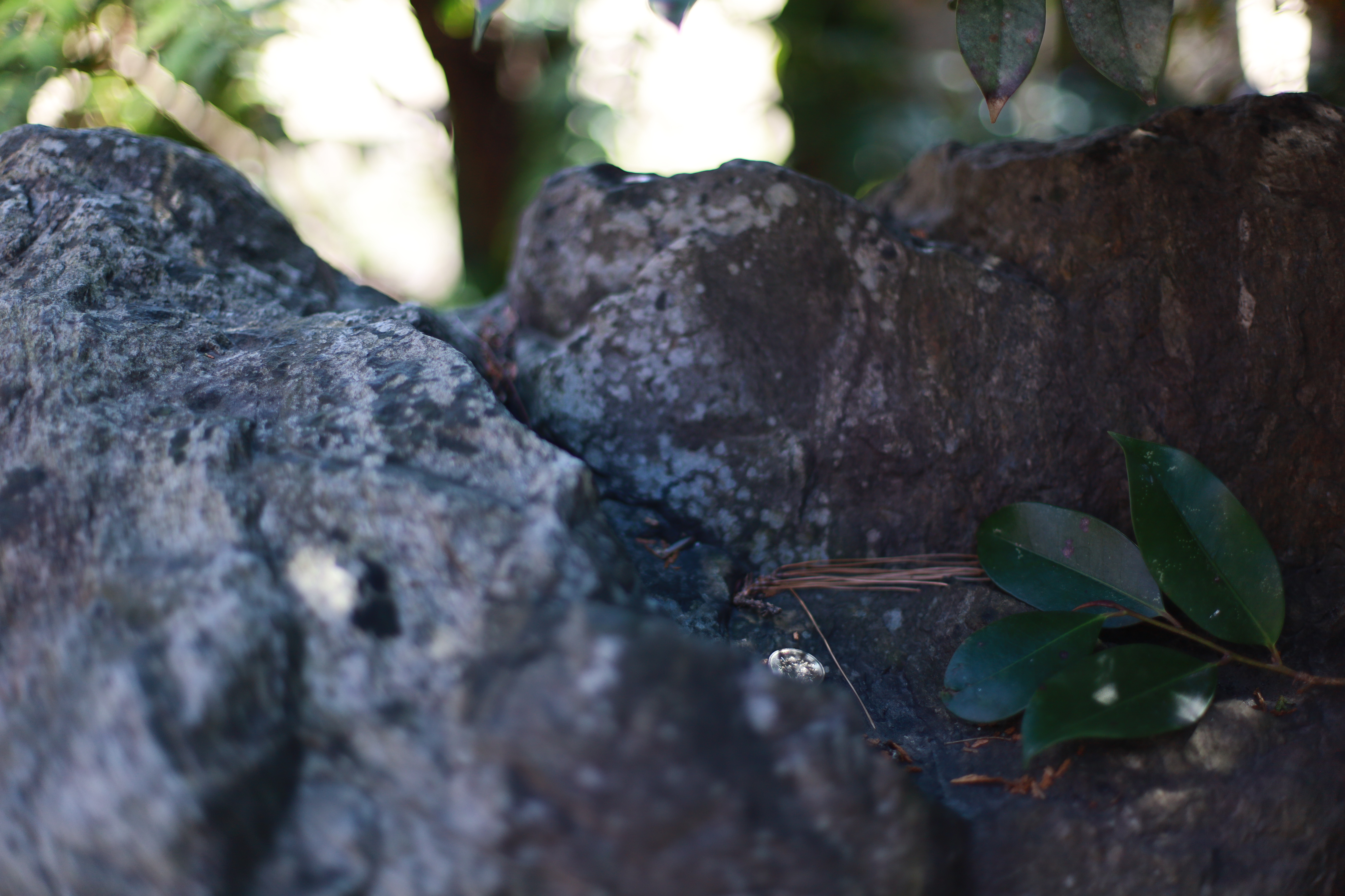 水火天満宮の画像7