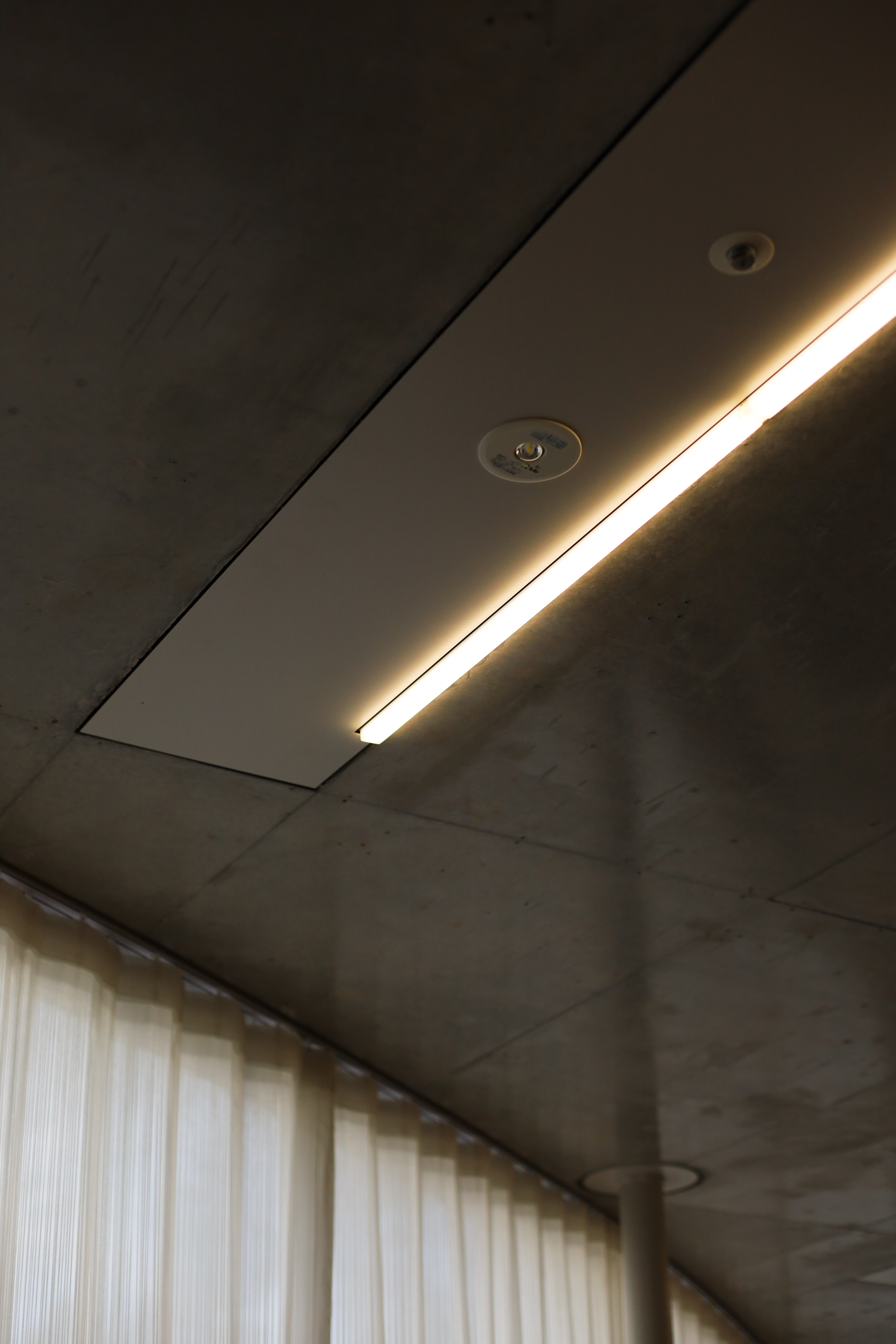 京都市京セラ美術館の画像4