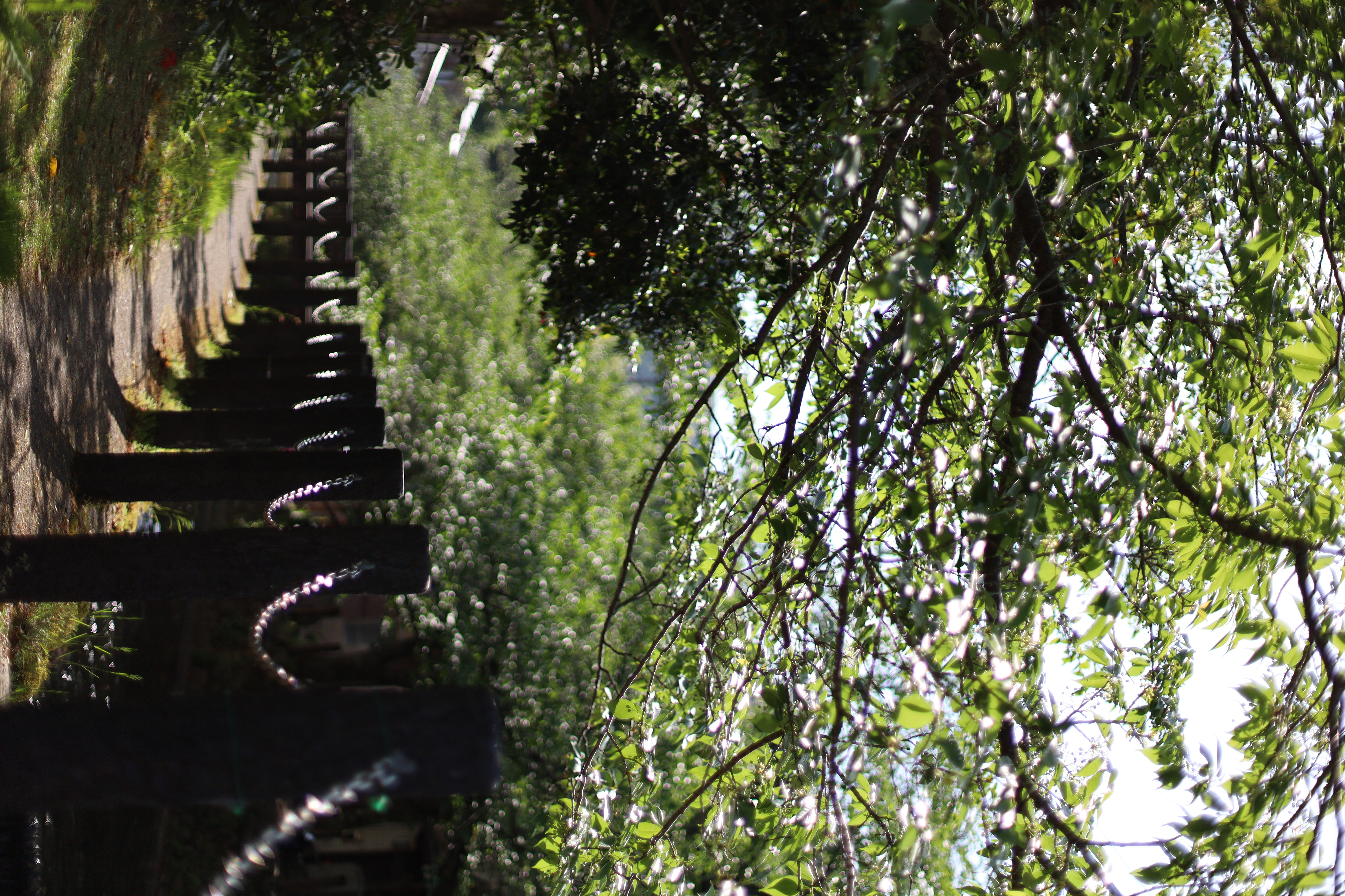 城崎温泉の画像6