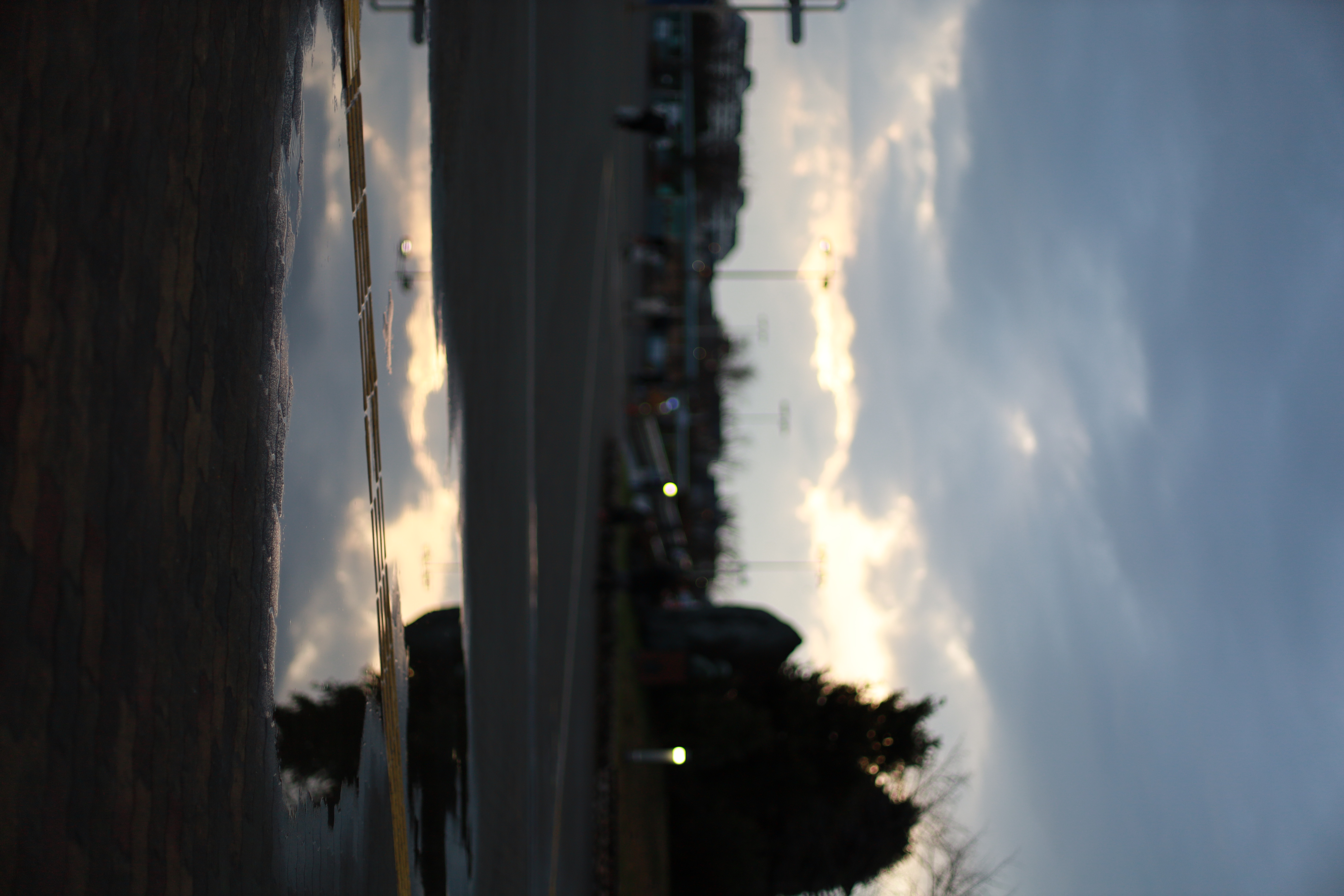 万博記念公園の画像5