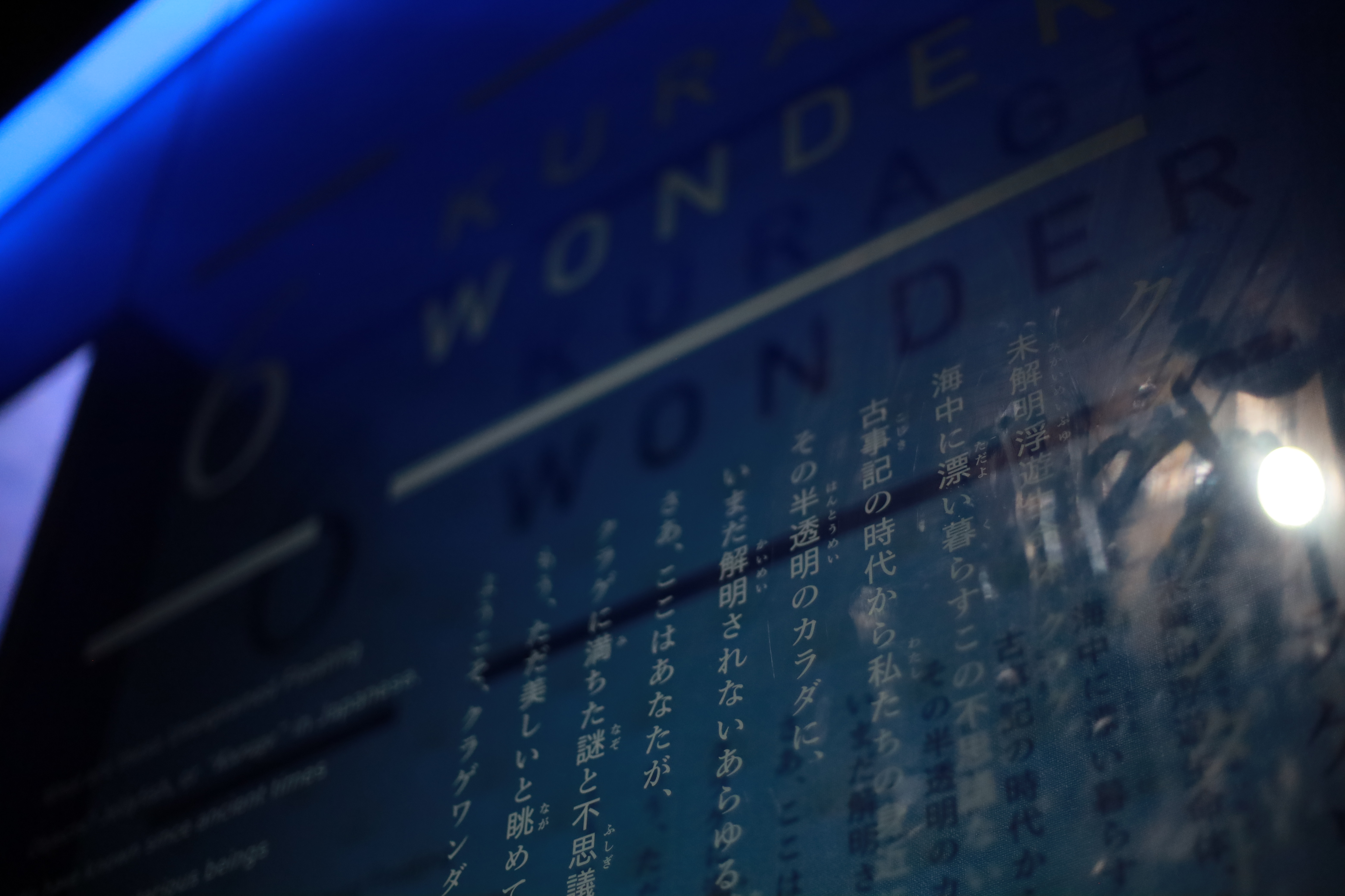 京都水族館の画像2