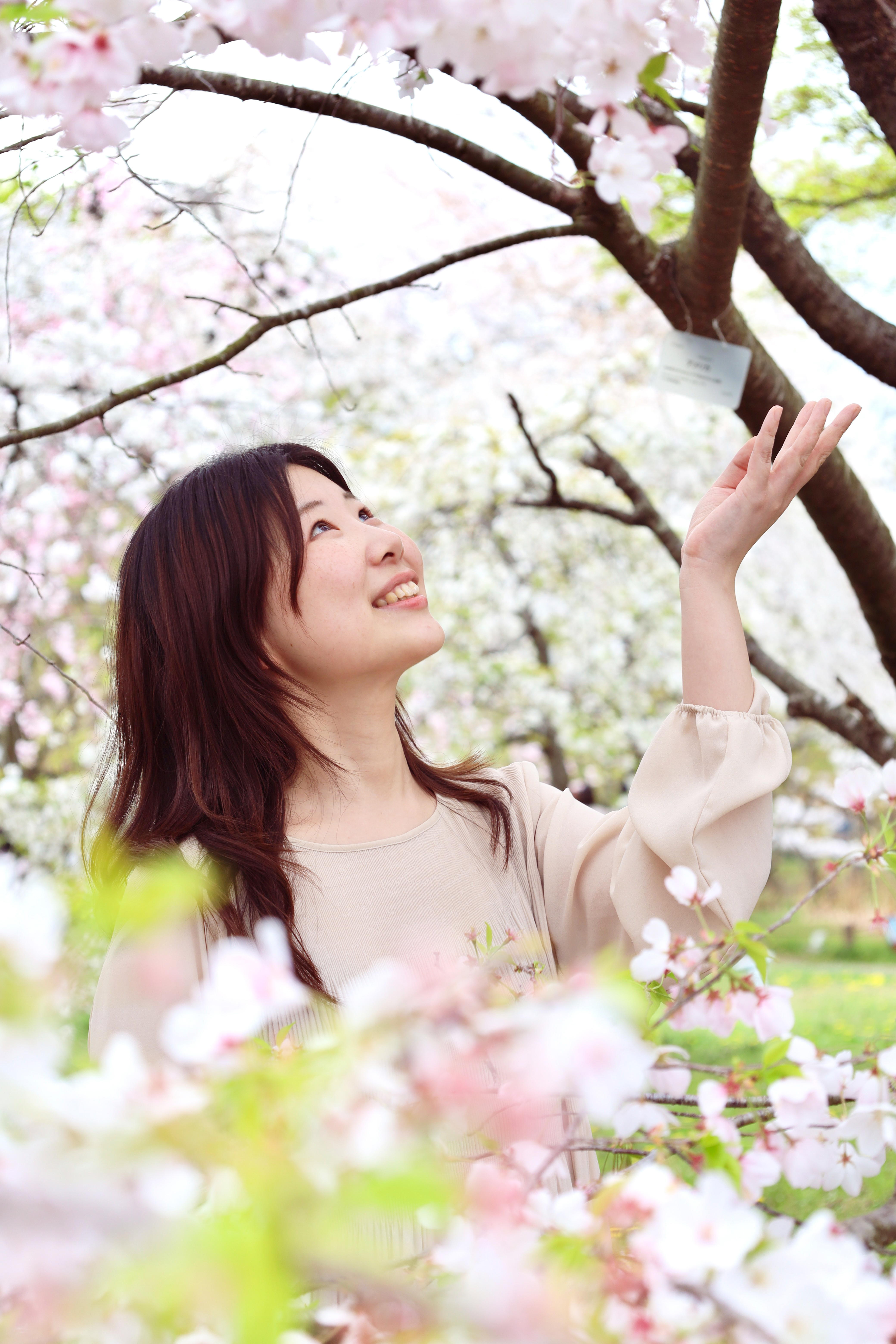 京都府立植物園の画像1