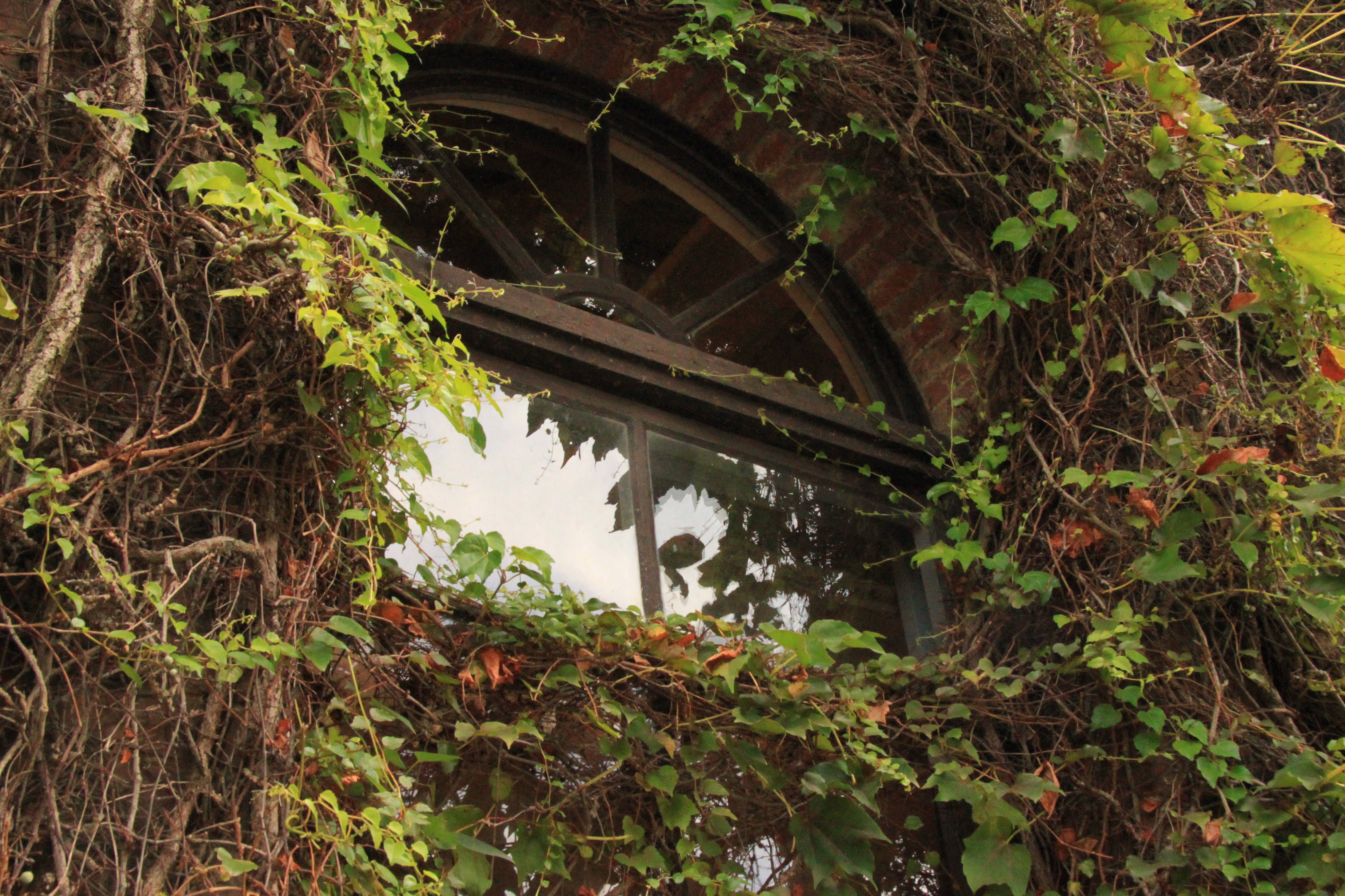 倉敷美観地区の画像7