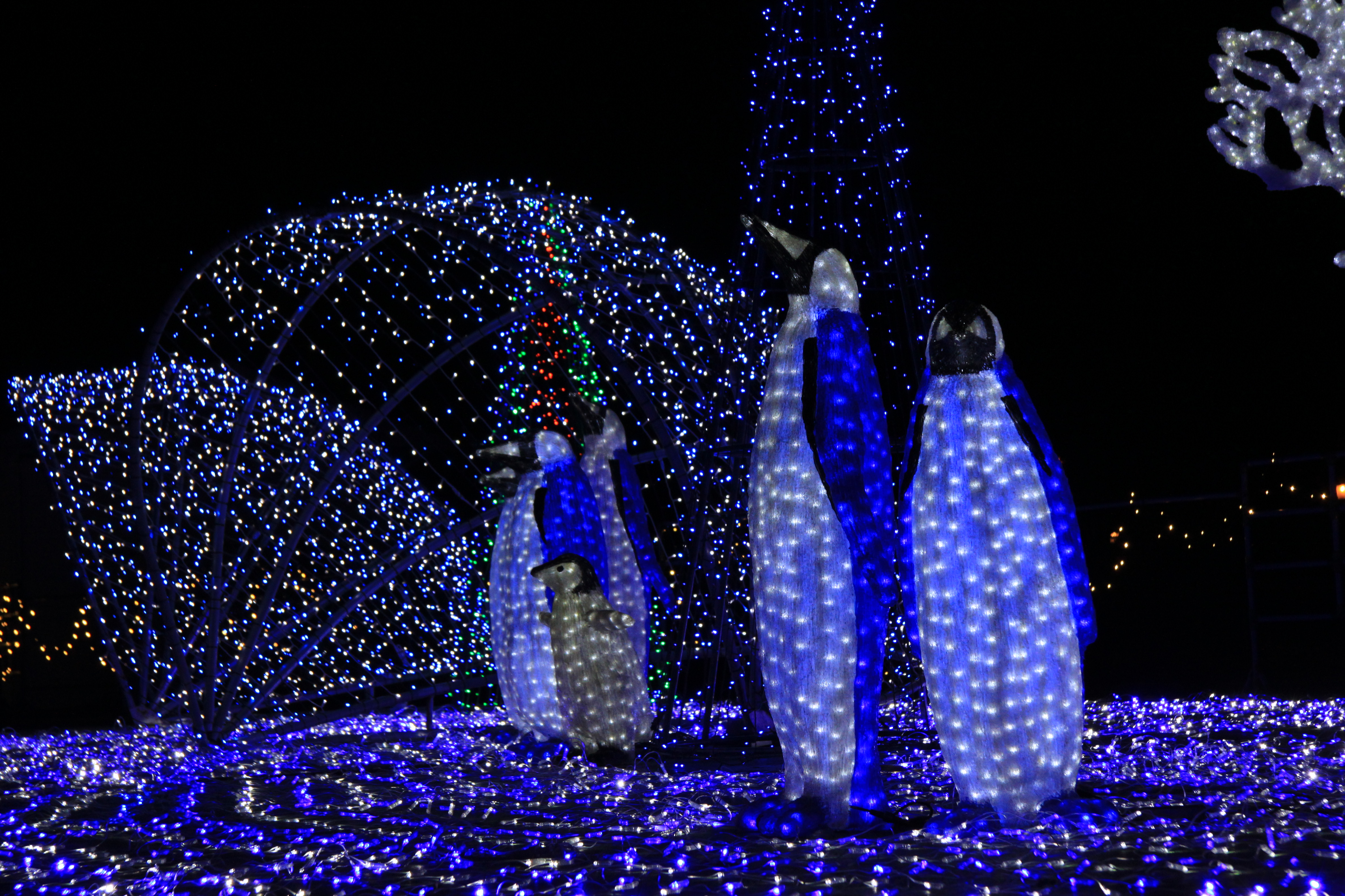 ハウステンボスの画像4