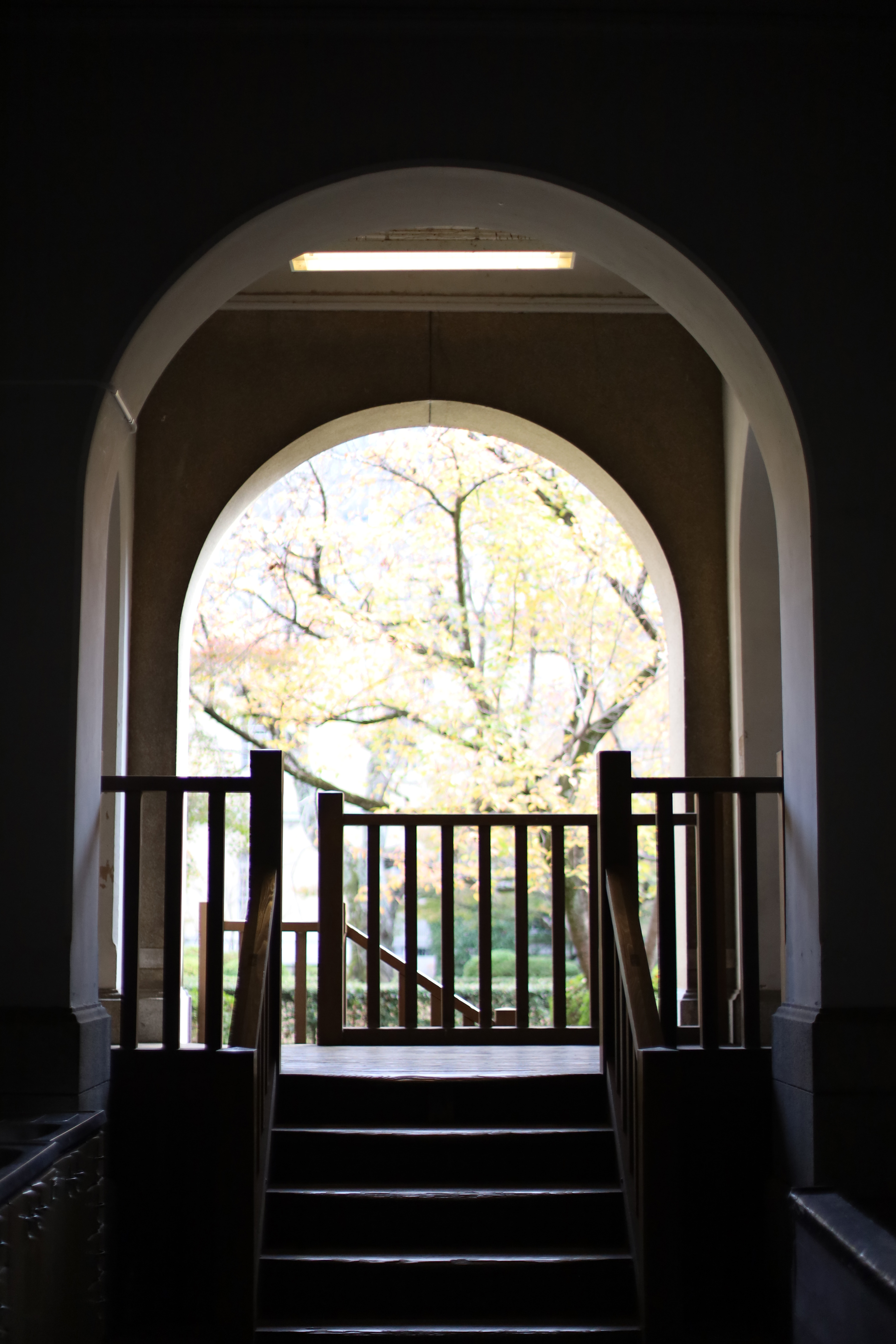 京都府庁 旧本館の画像1