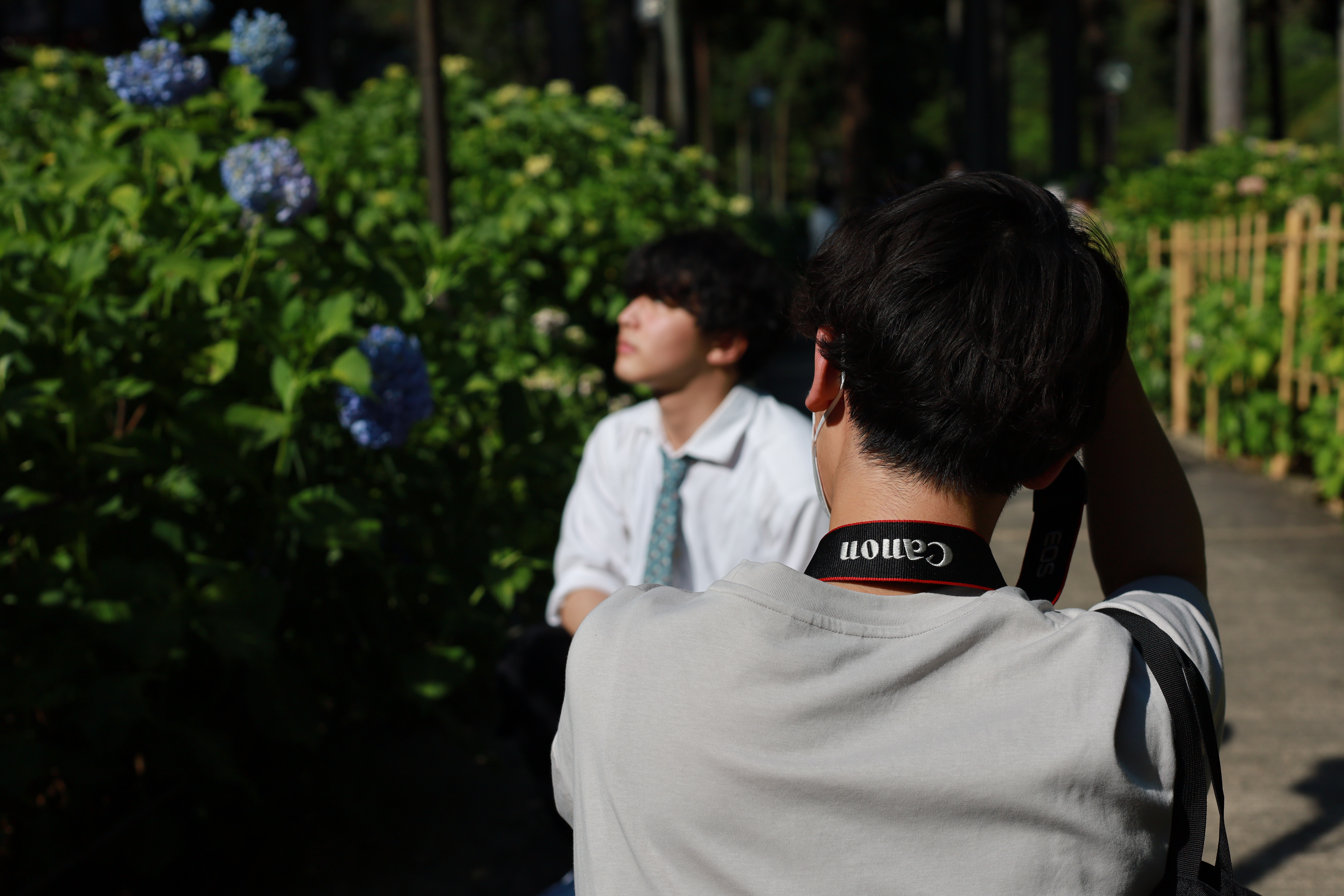 三室戸寺の画像8