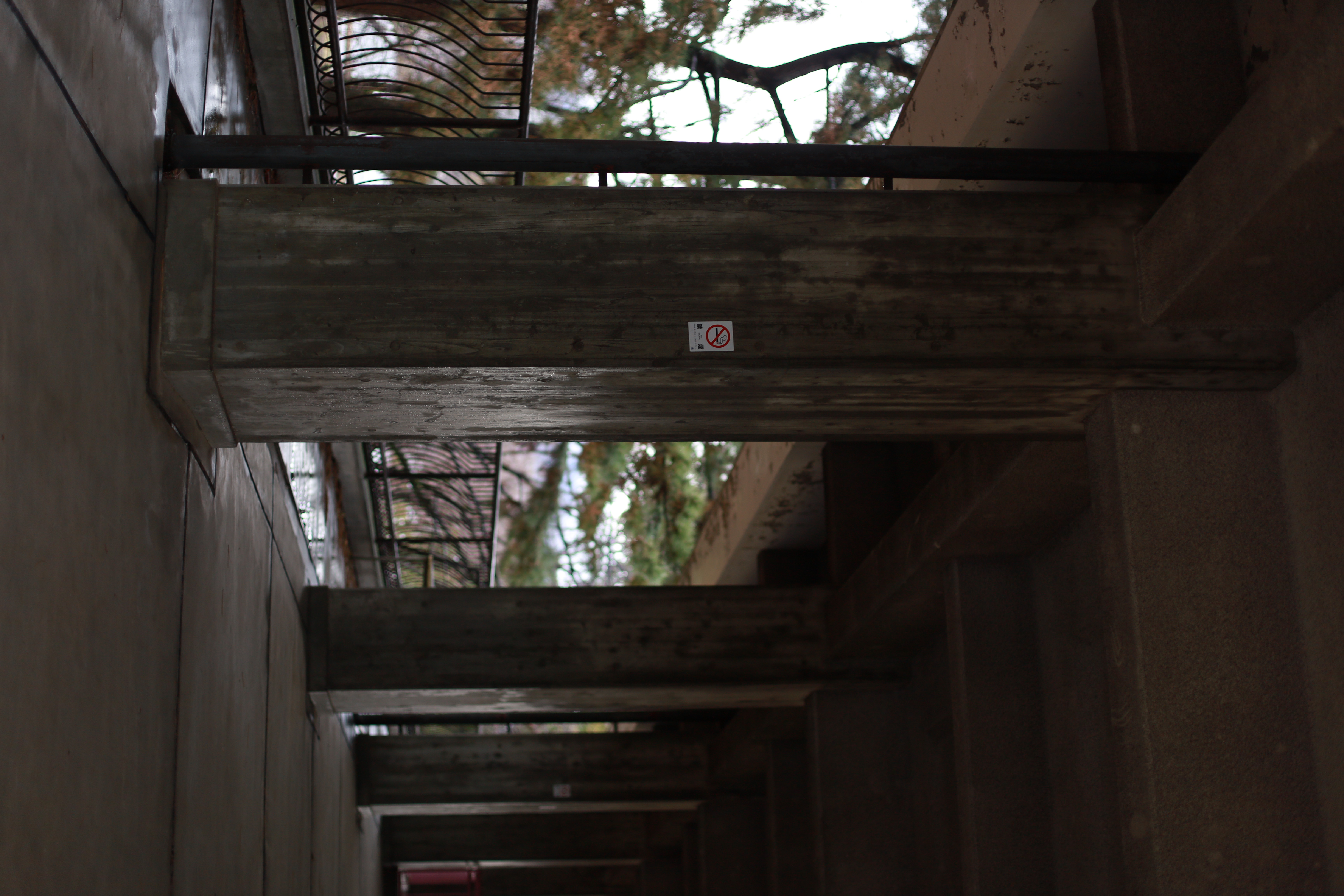 万博記念公園の画像2