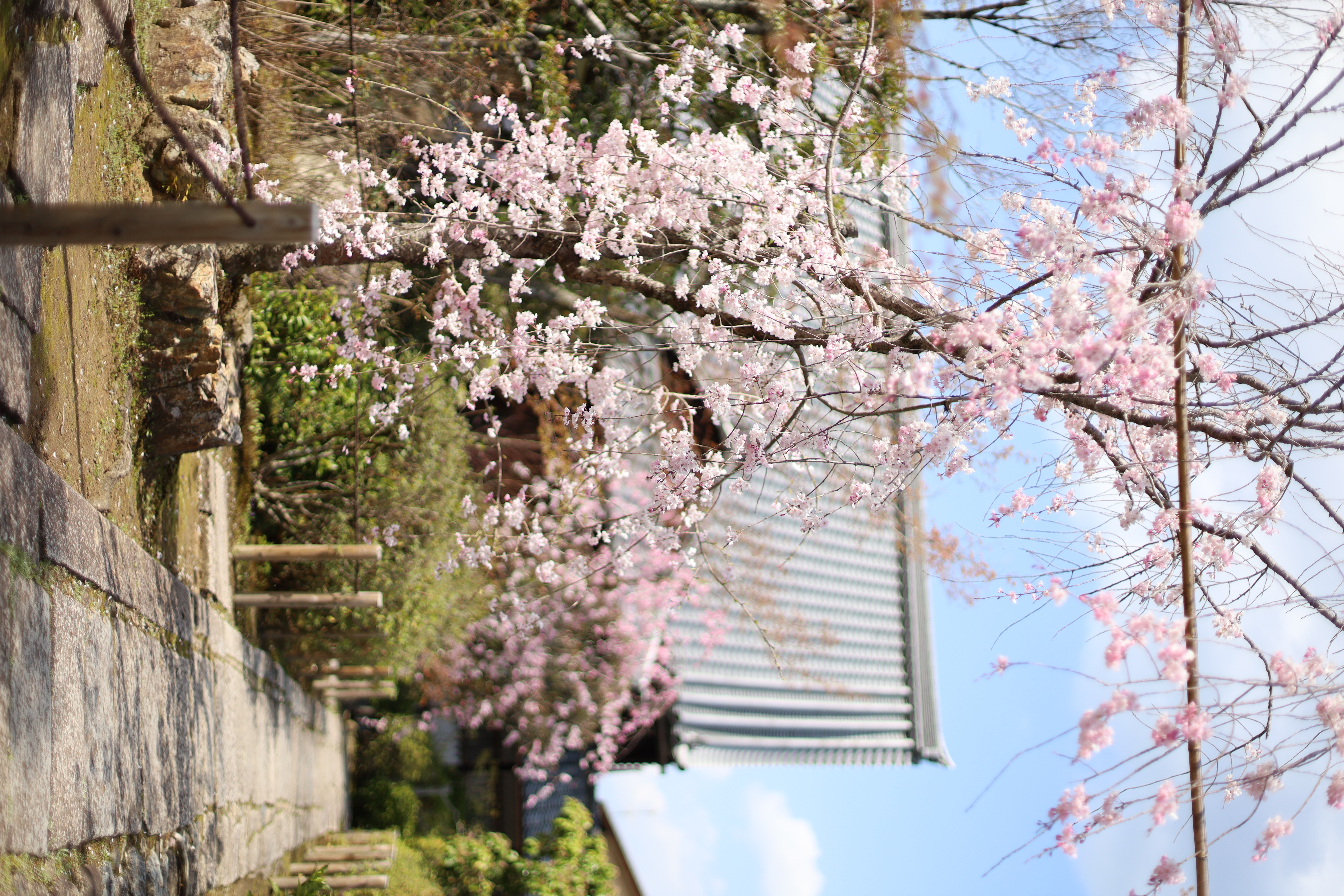 花園妙心寺町の画像6