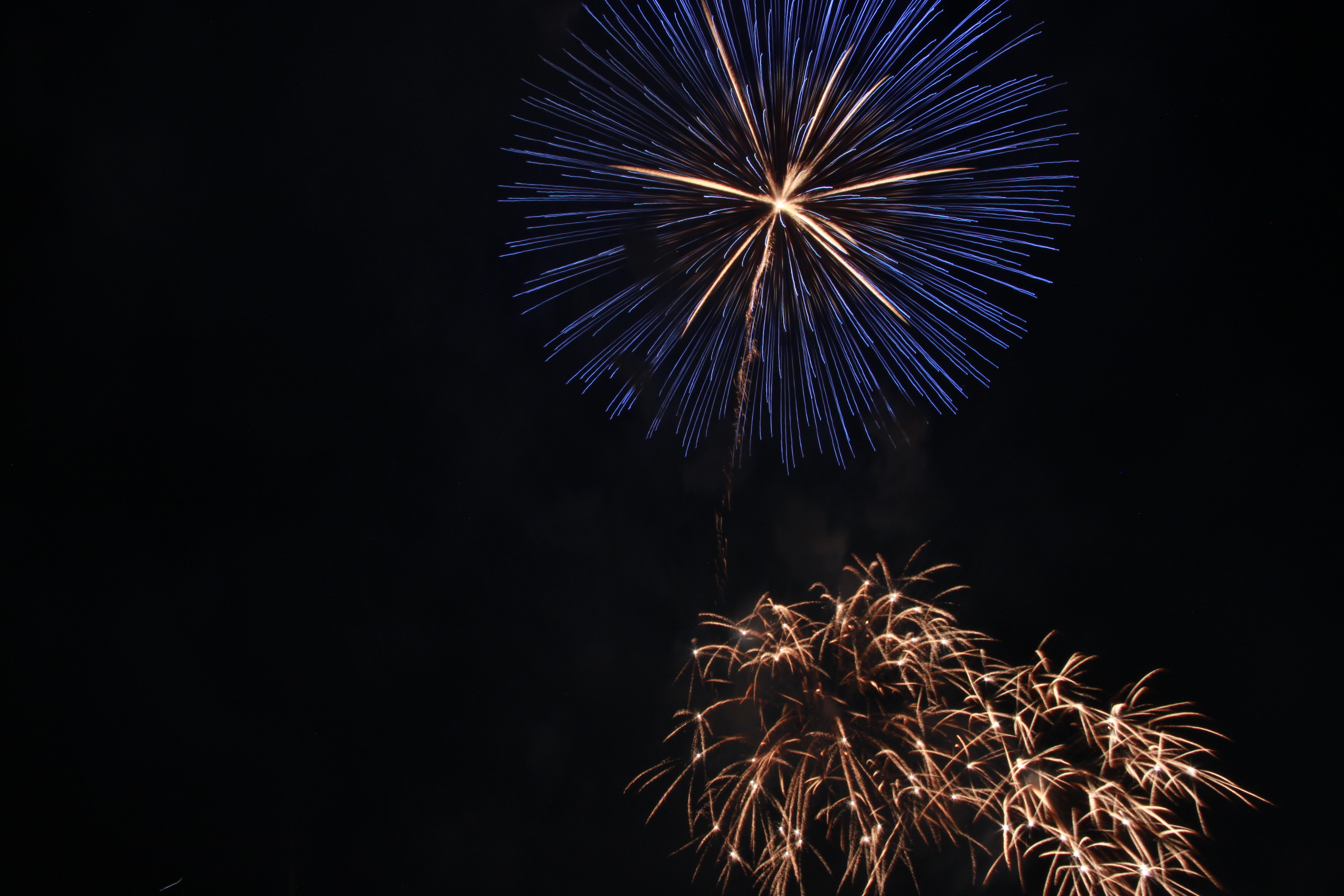 なにわ淀川花火大会の画像2