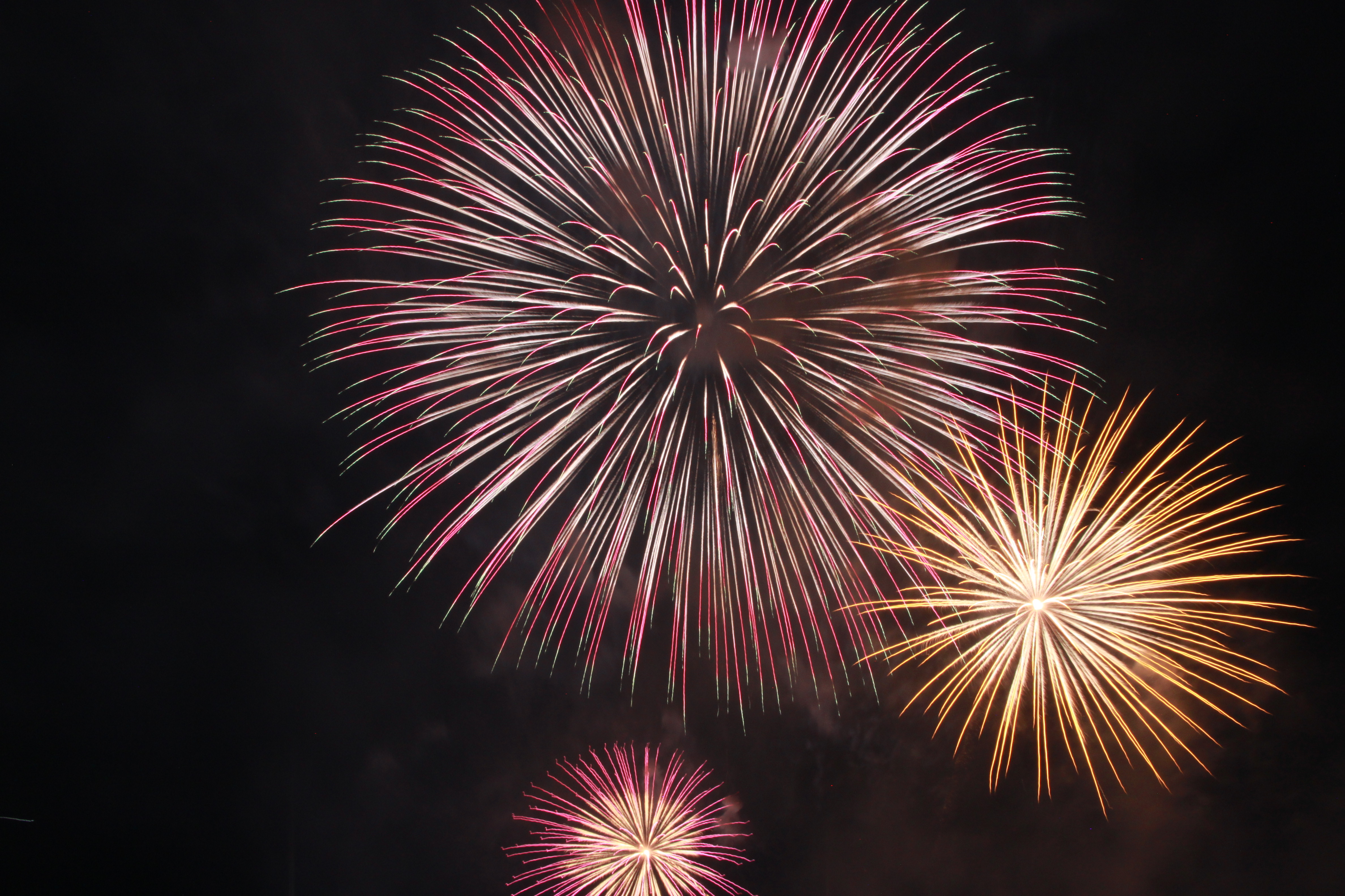 なにわ淀川花火大会の画像1