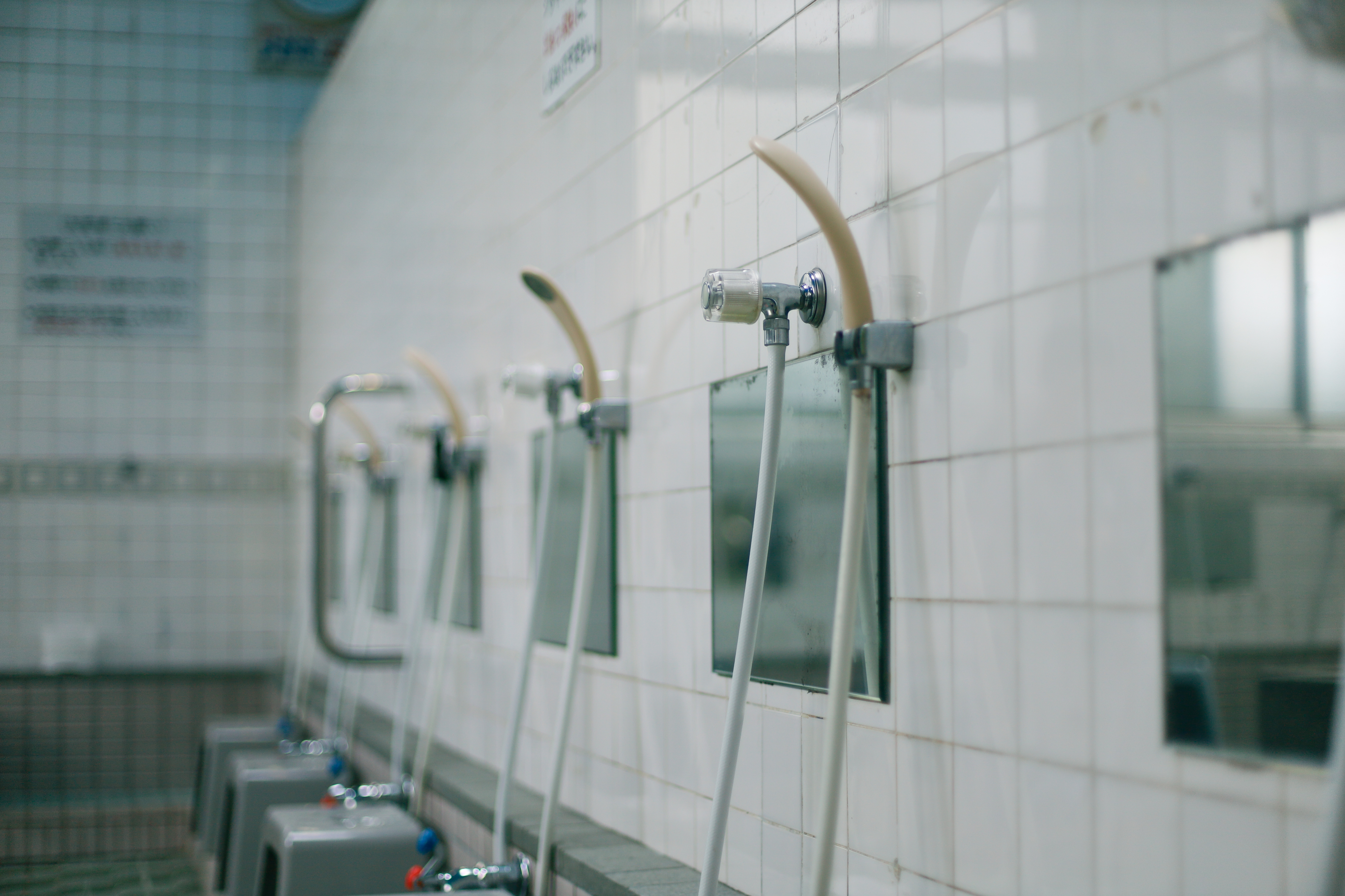 寿楽温泉の画像8