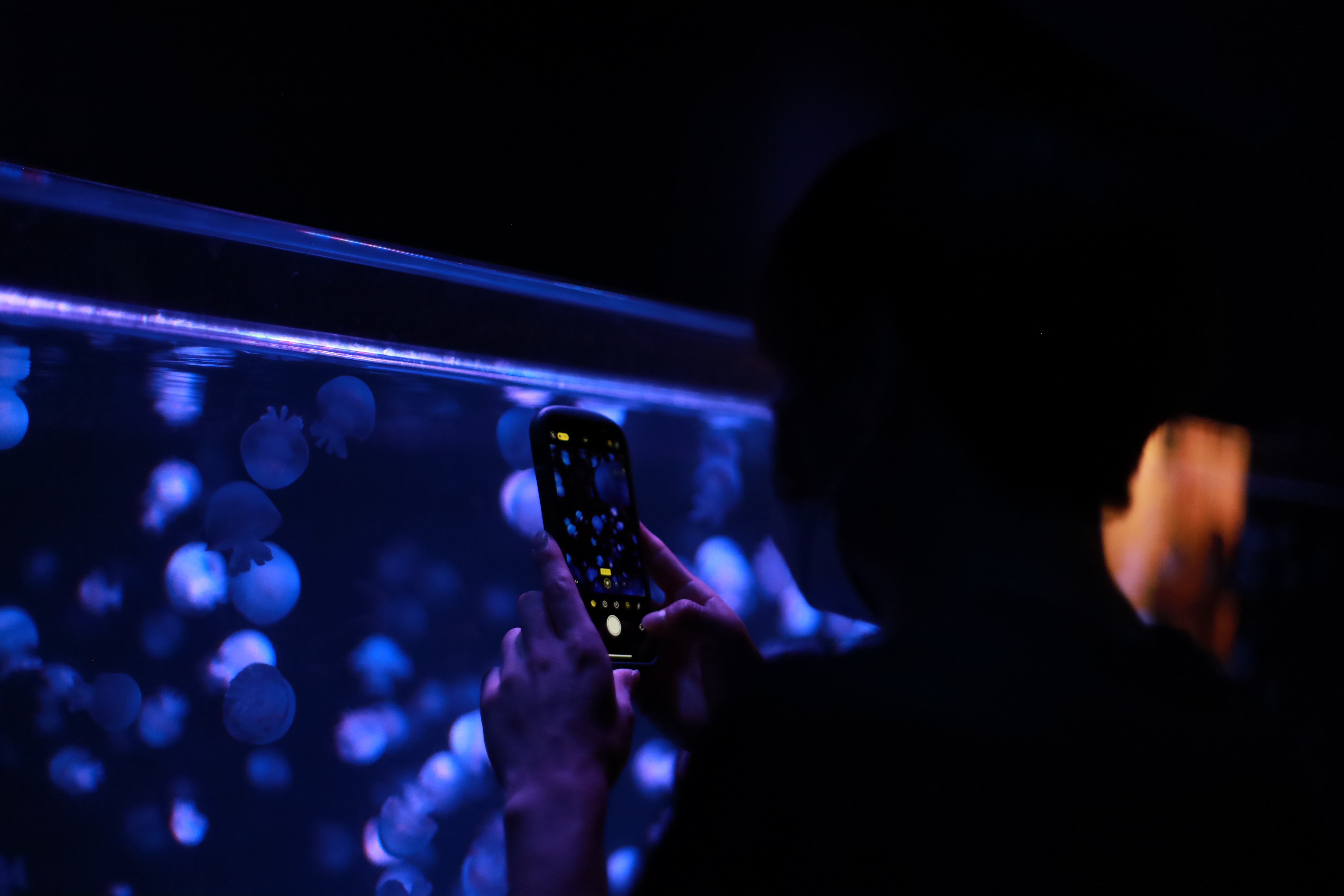 京都水族館の画像6