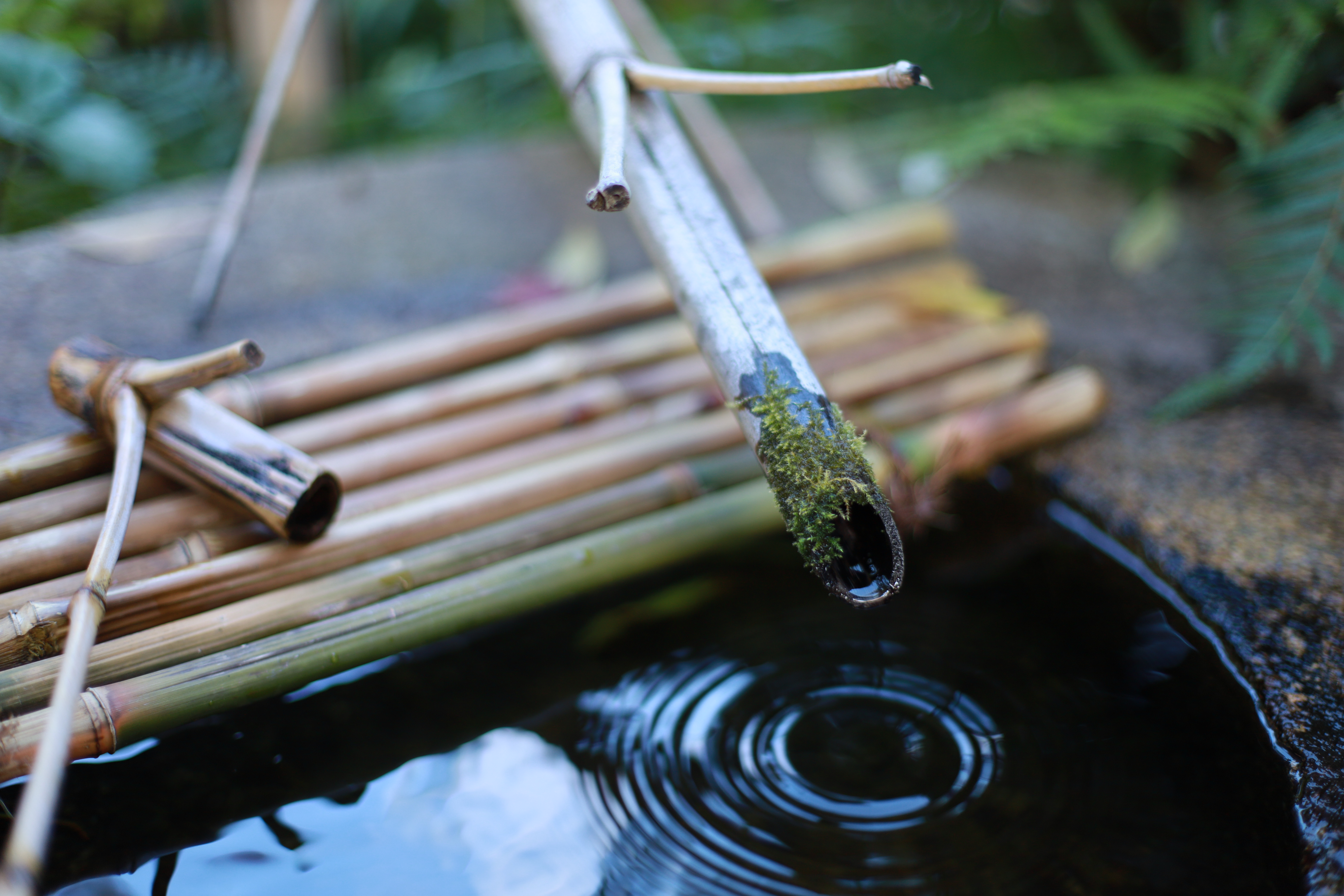 大山崎山荘美術館の画像6