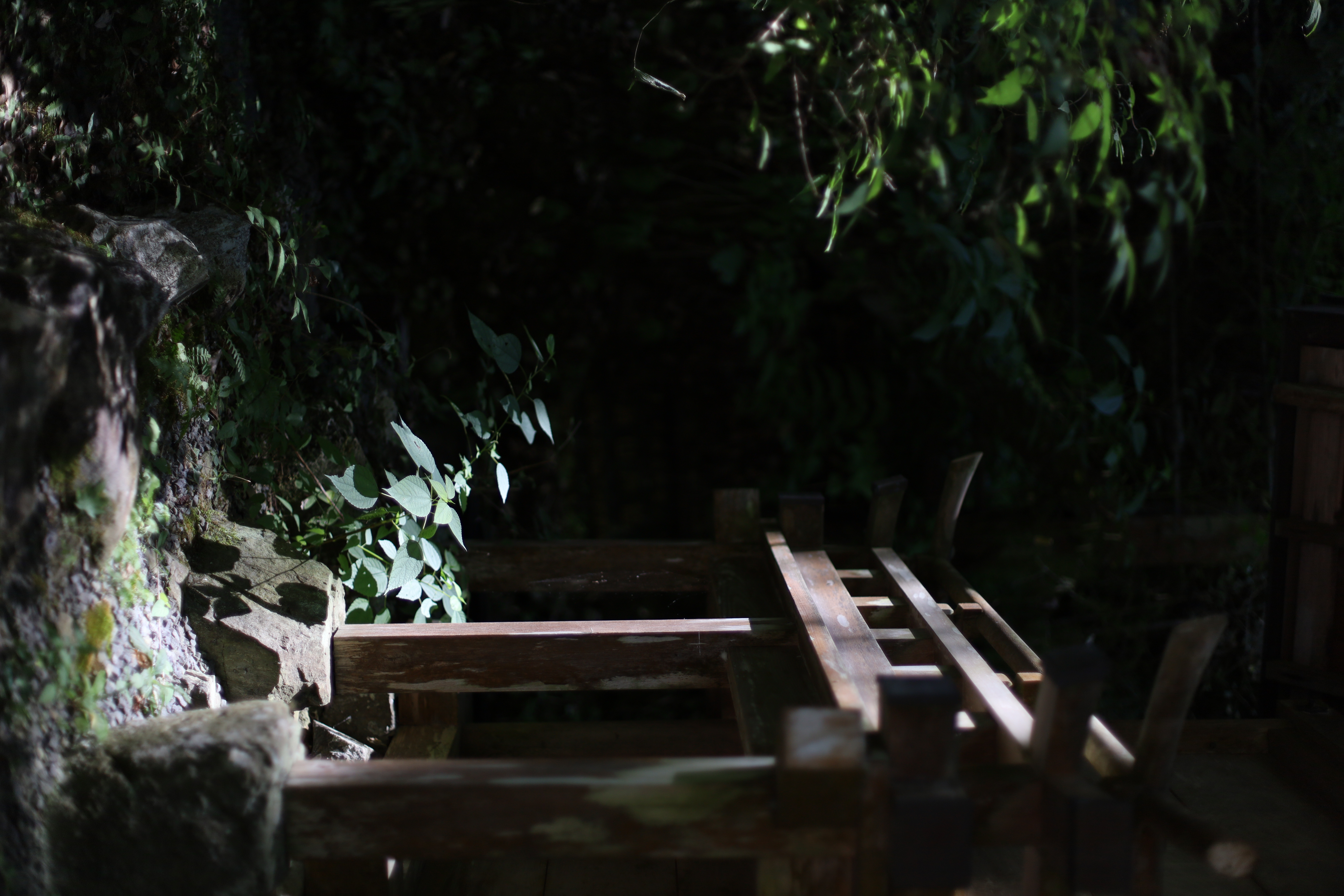 貴船神社の画像6