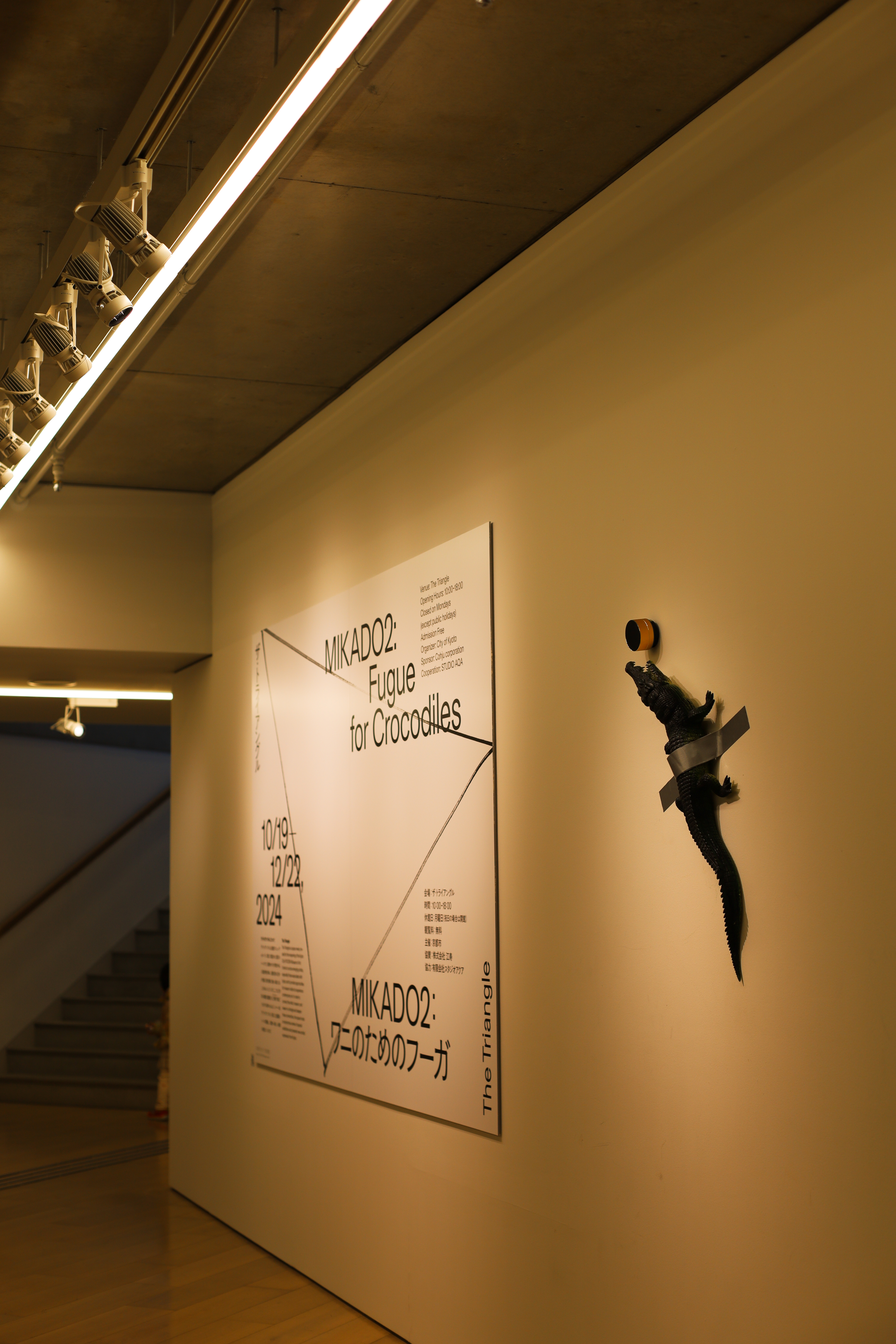 京都市京セラ美術館の画像2