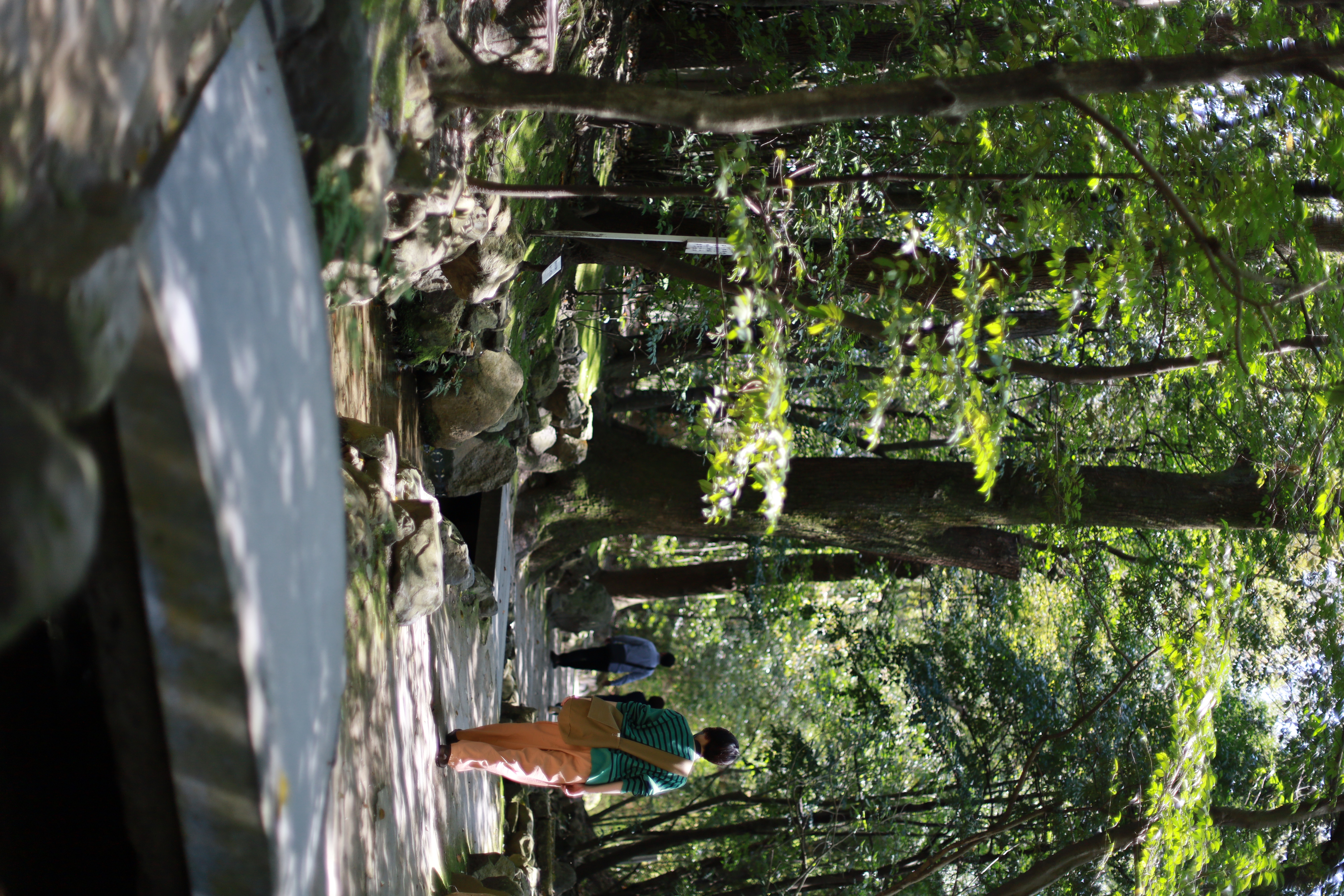 平安神宮の画像6