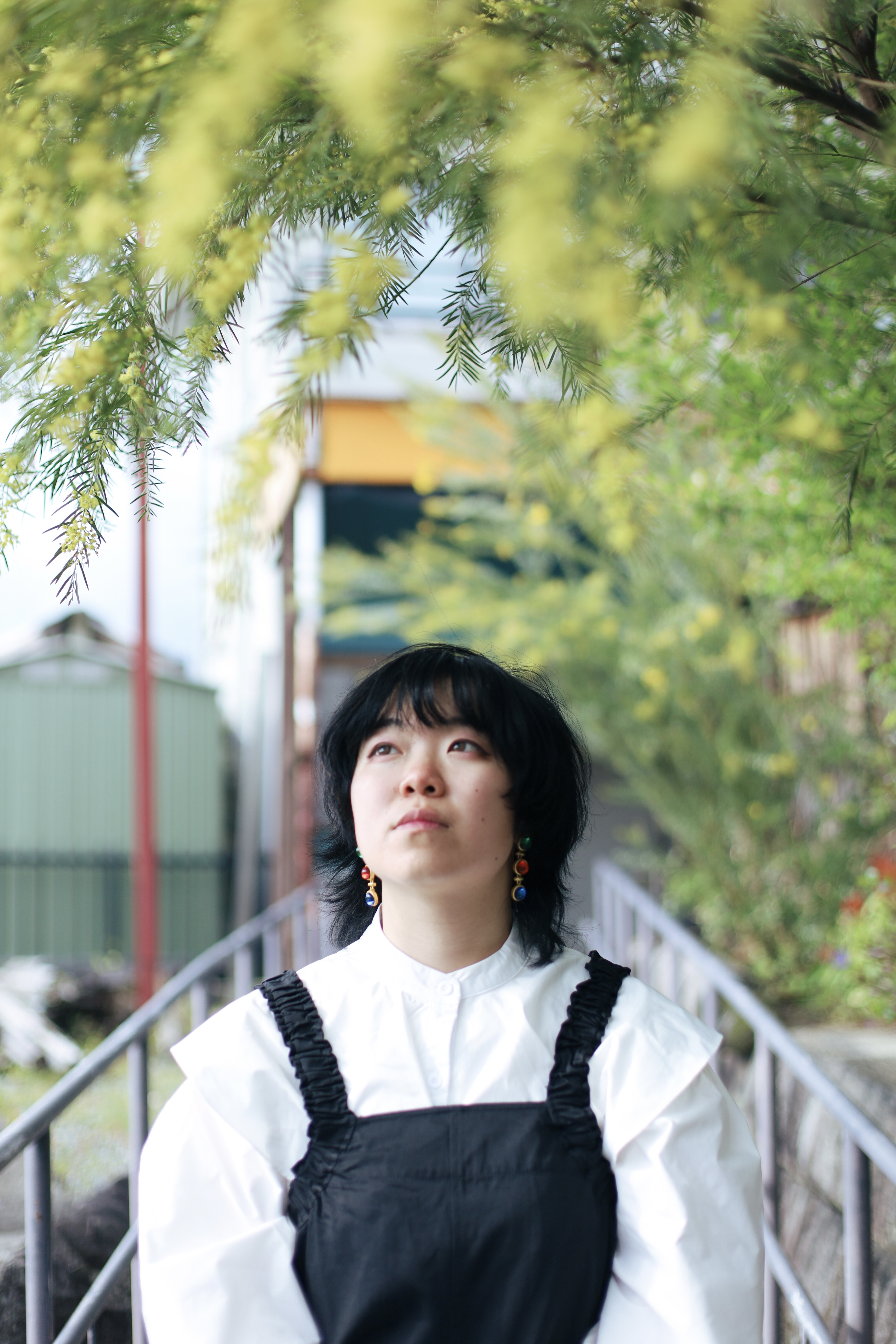 道の駅 ちはやあかさかの画像1