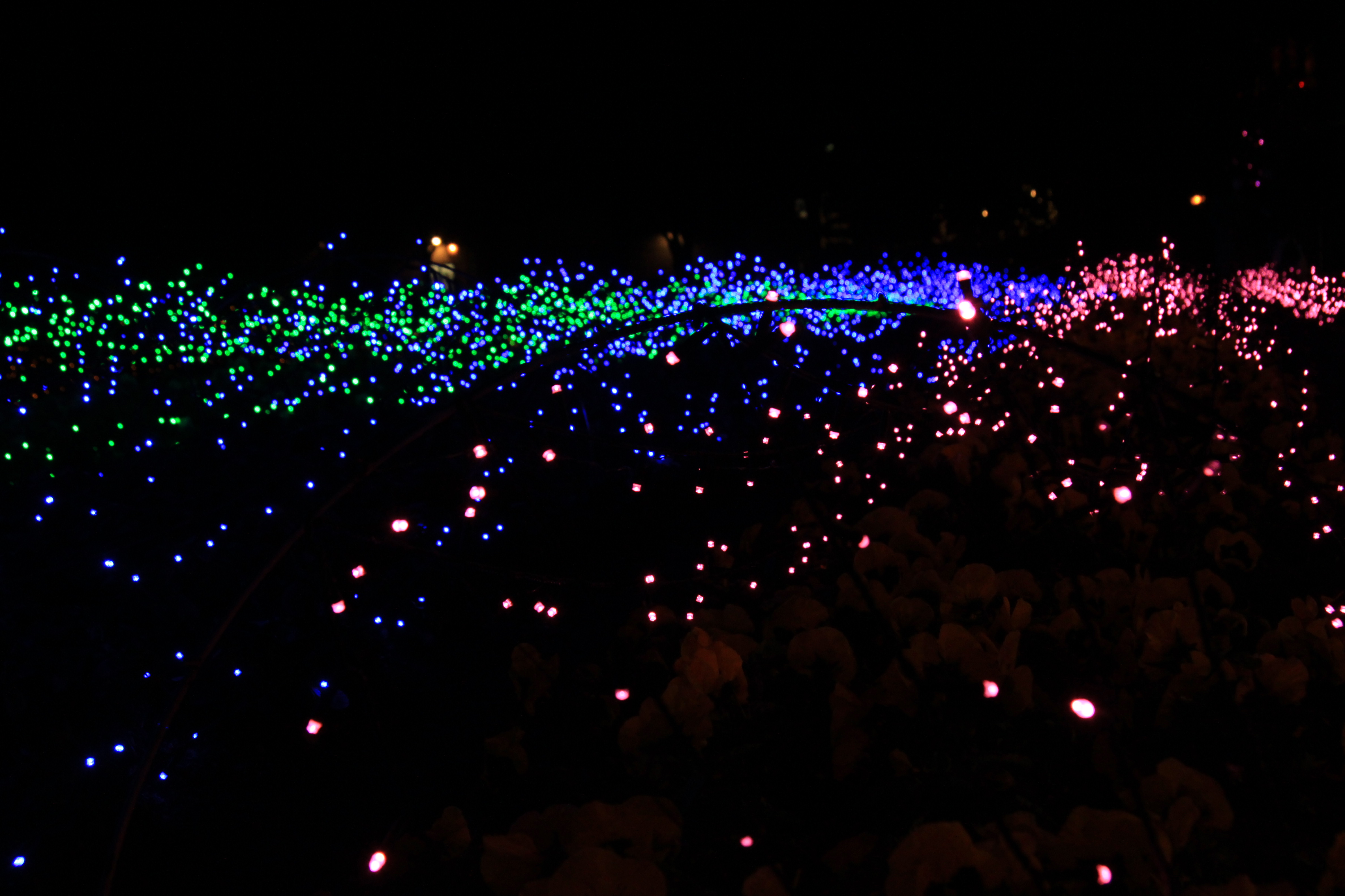 ハウステンボスの画像7