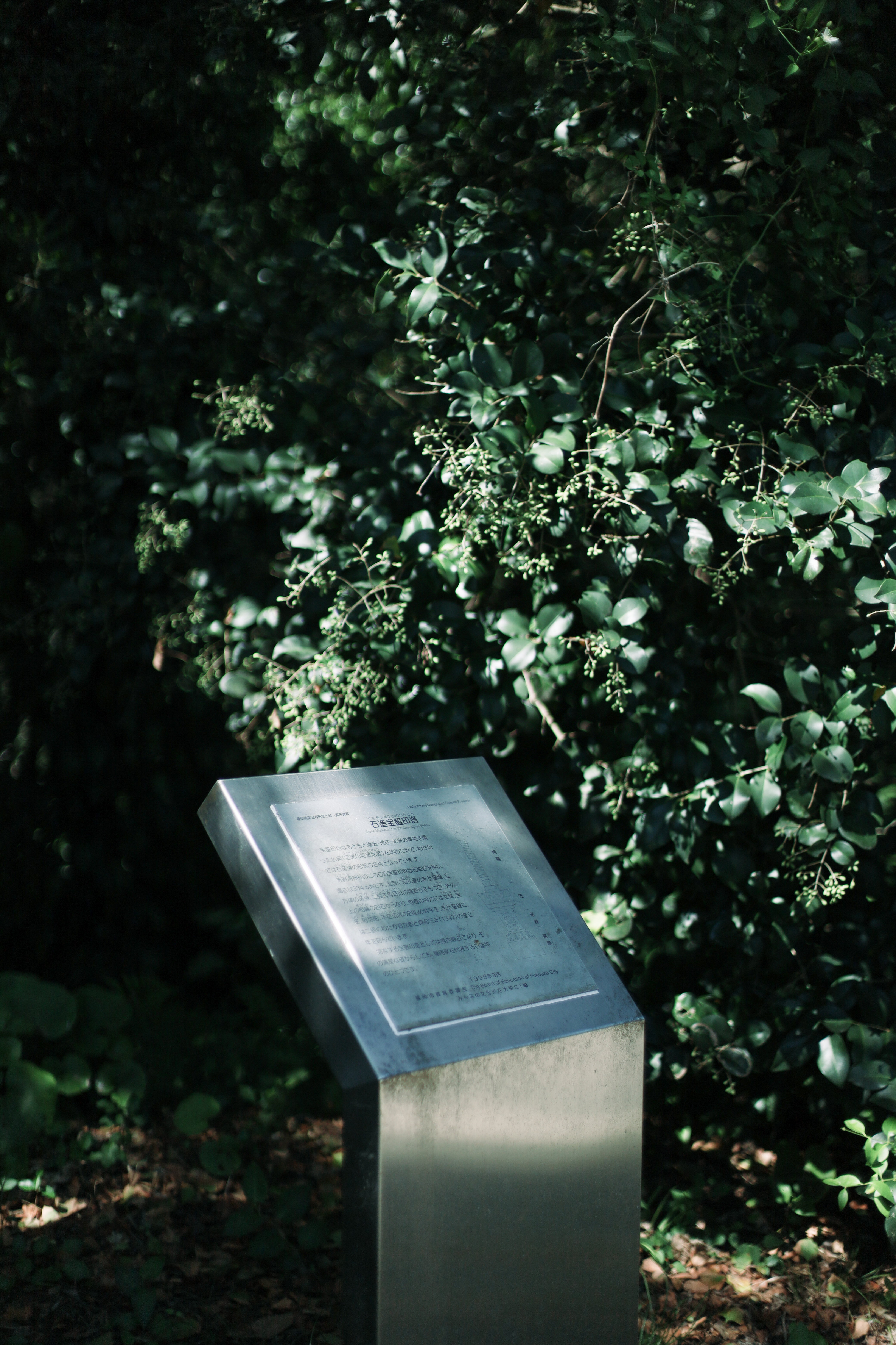 志賀海神社の画像8