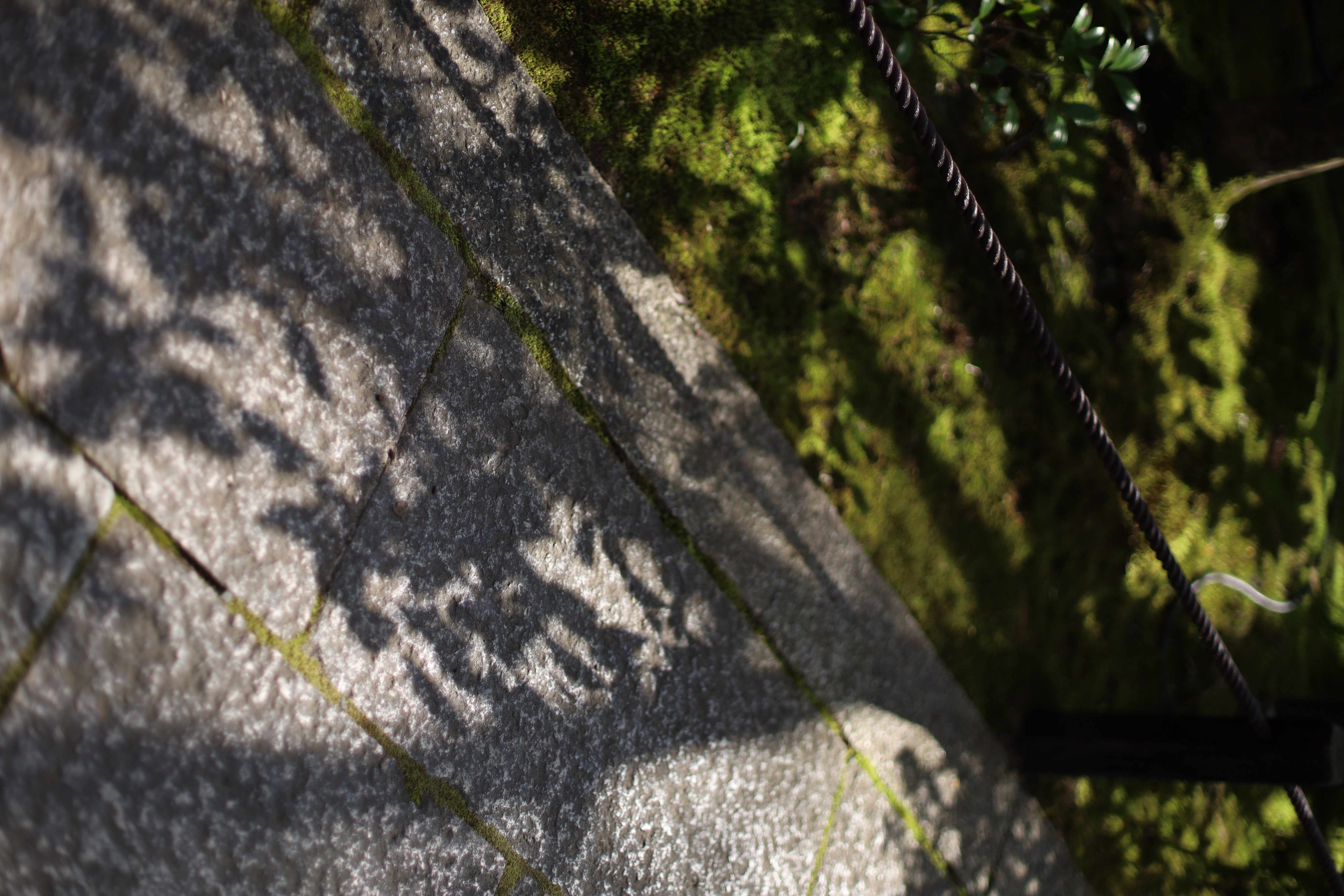 花園妙心寺町の画像3