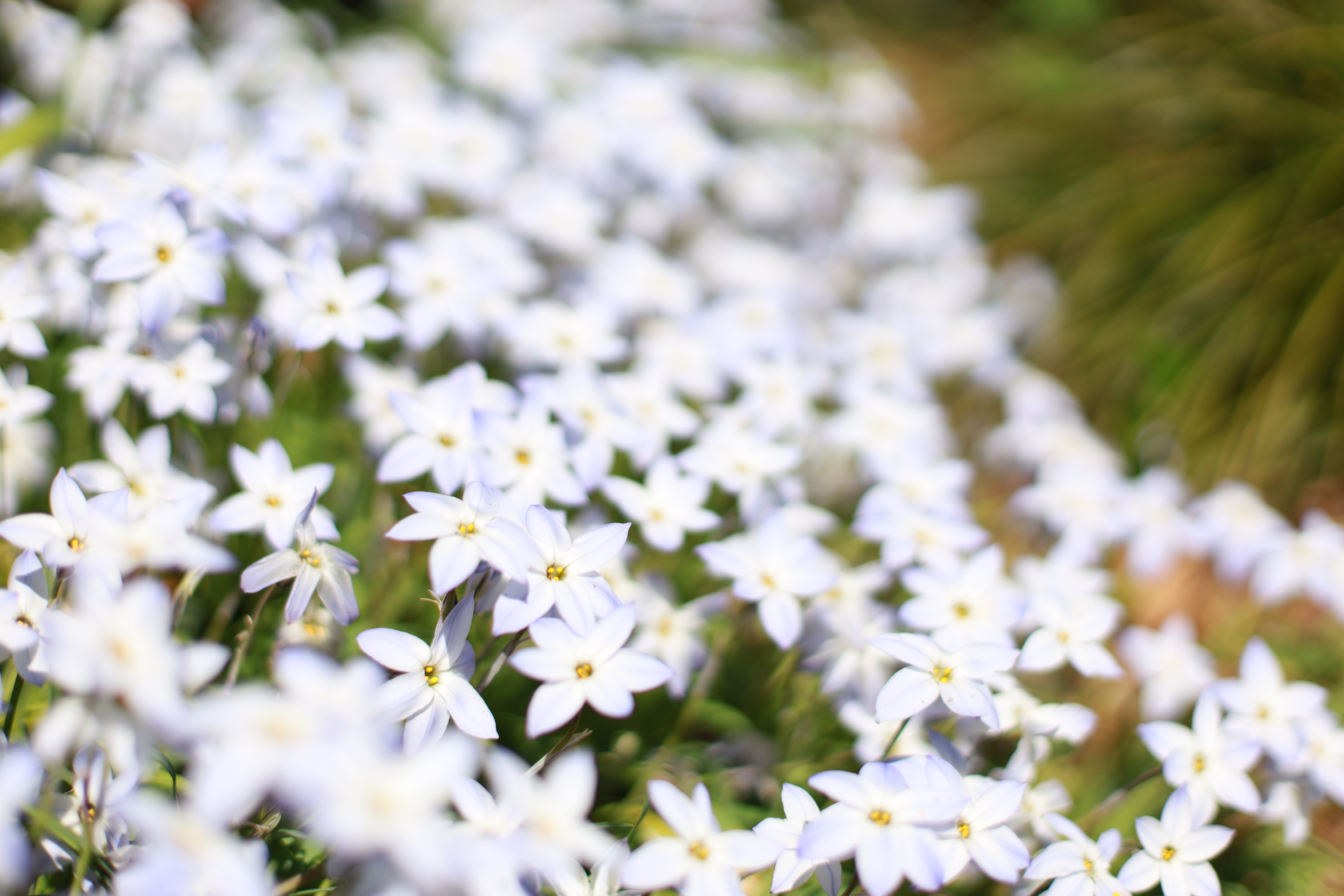 水火天満宮の画像8