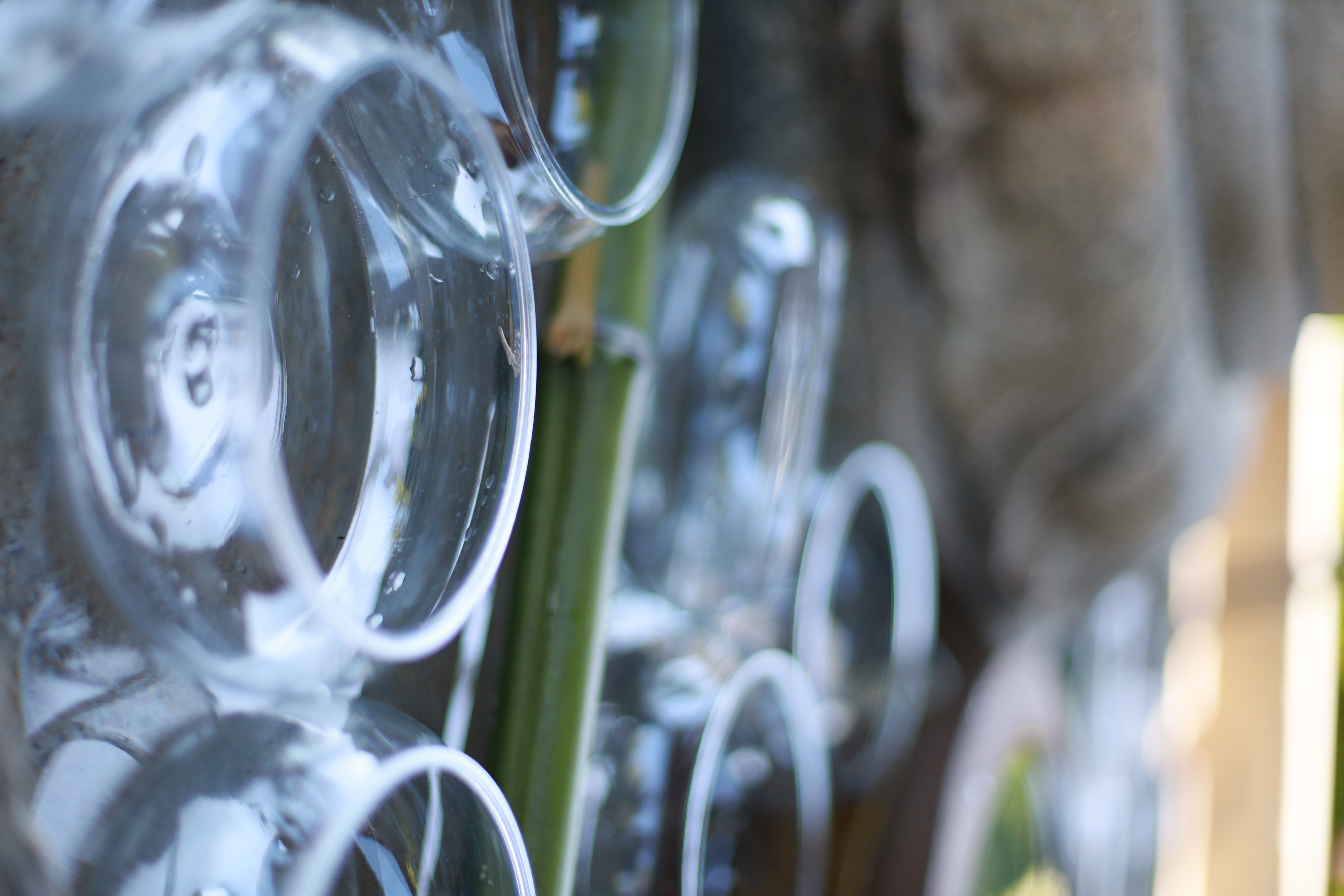 三室戸寺の画像6