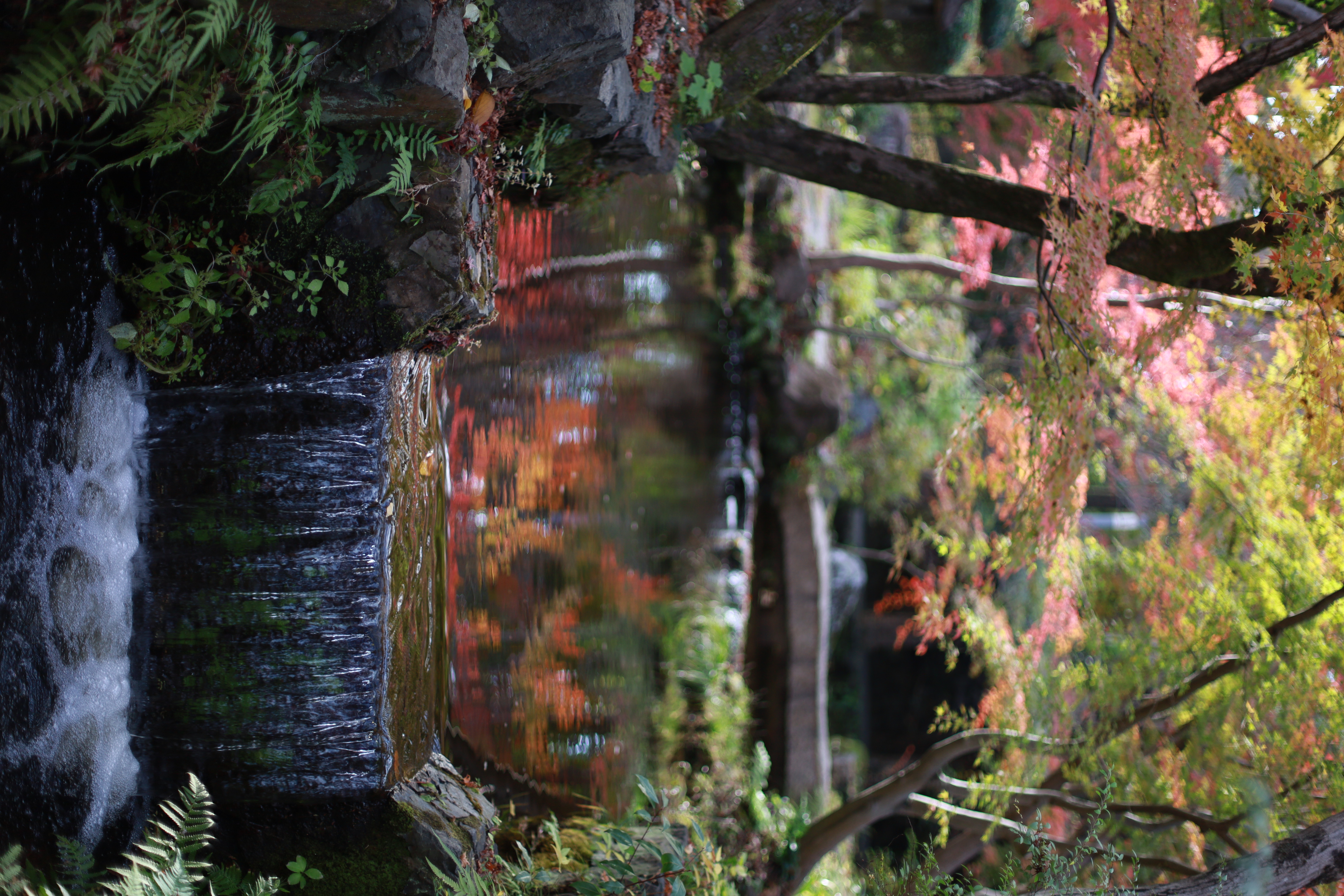 大山崎山荘美術館の画像1
