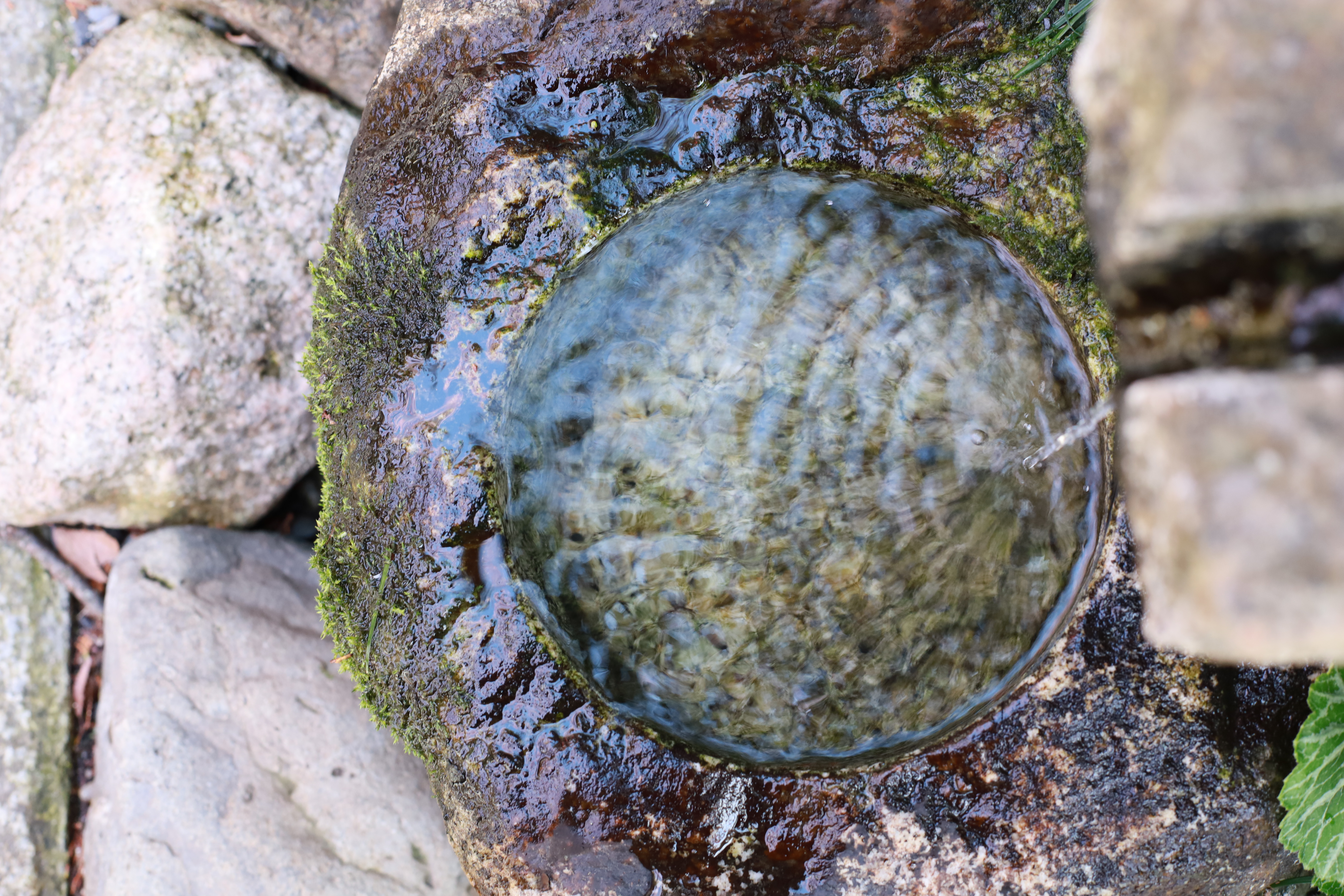 水火天満宮の画像3