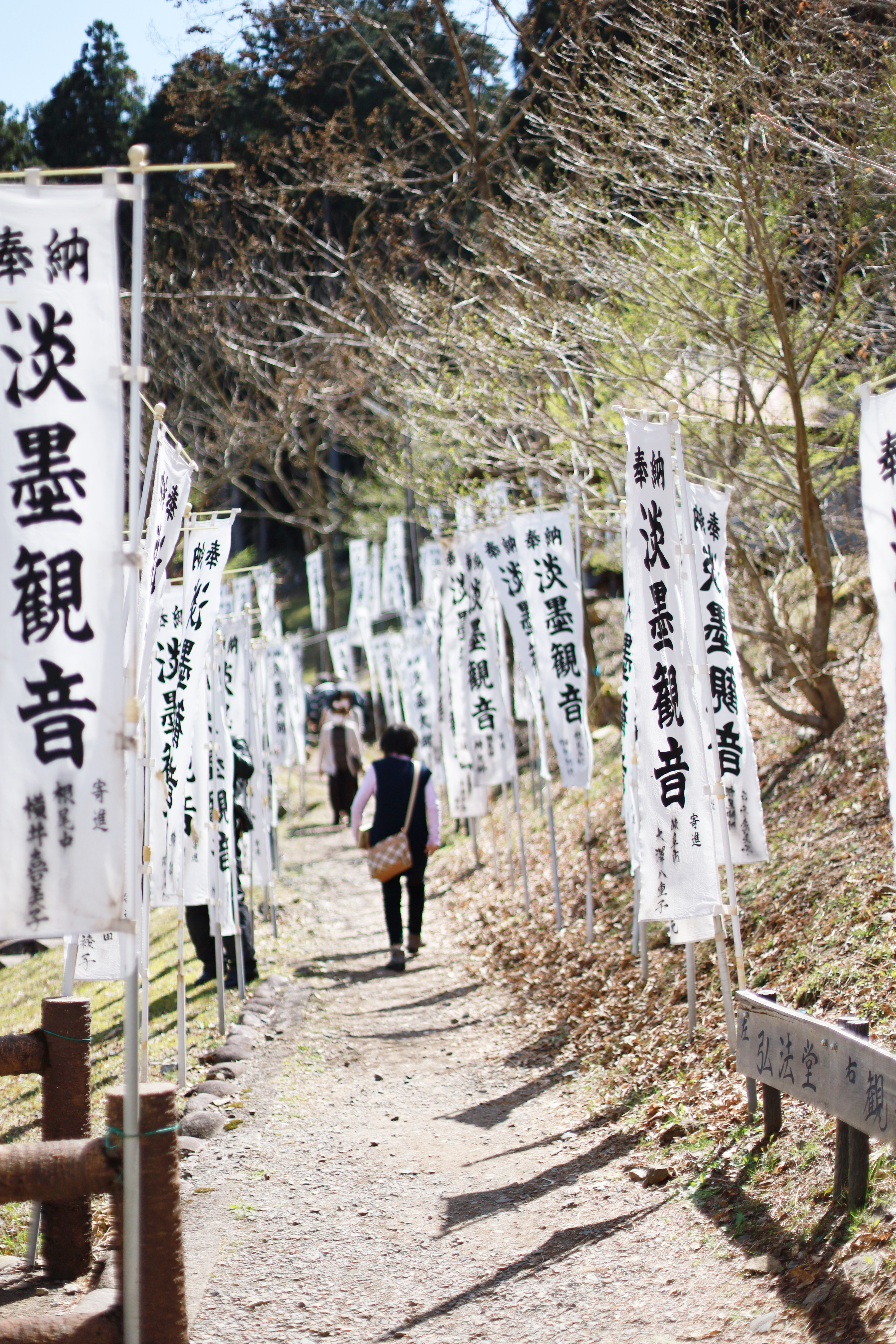 根尾谷・淡墨公園の画像1