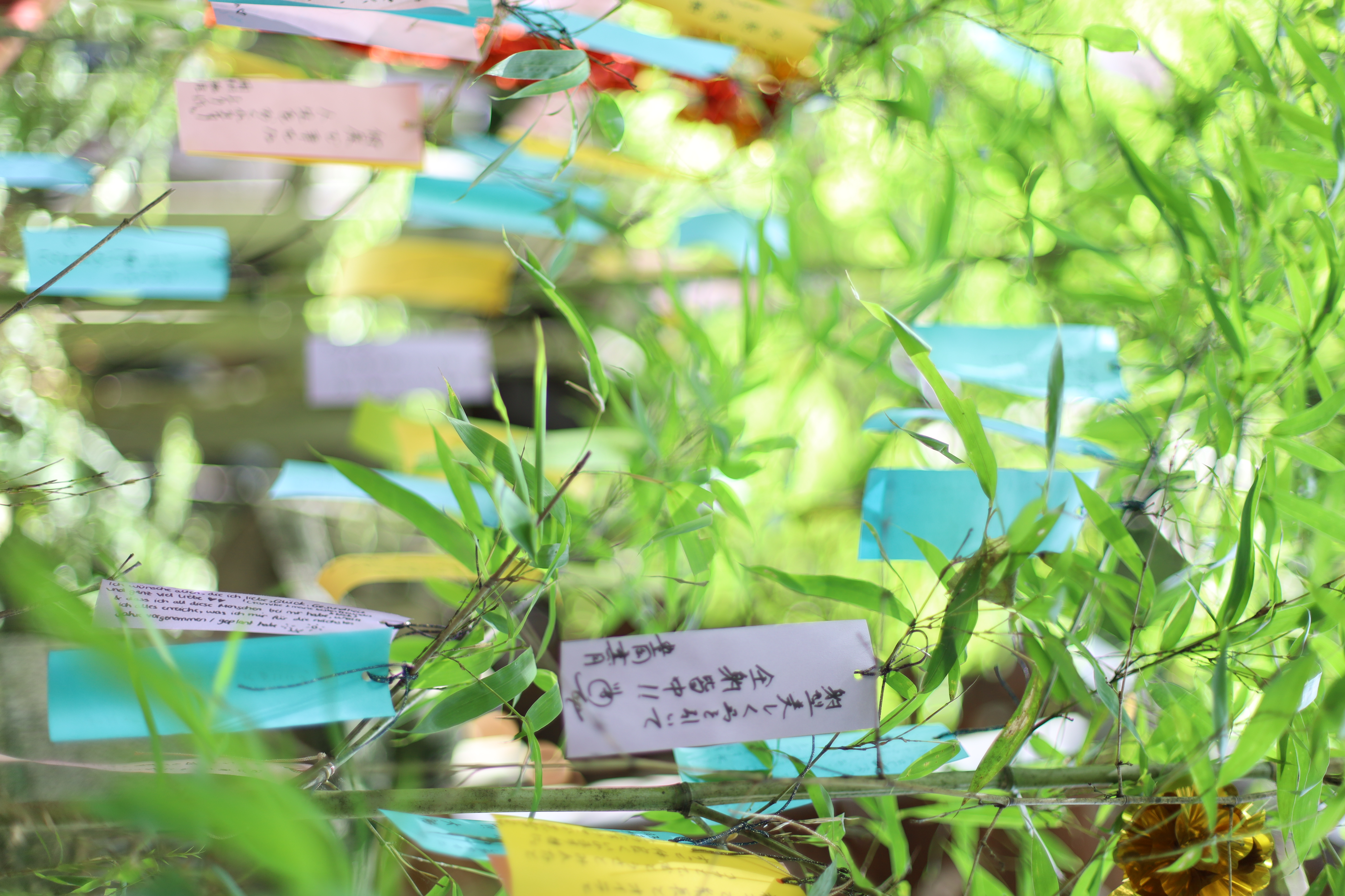 貴船神社の画像1